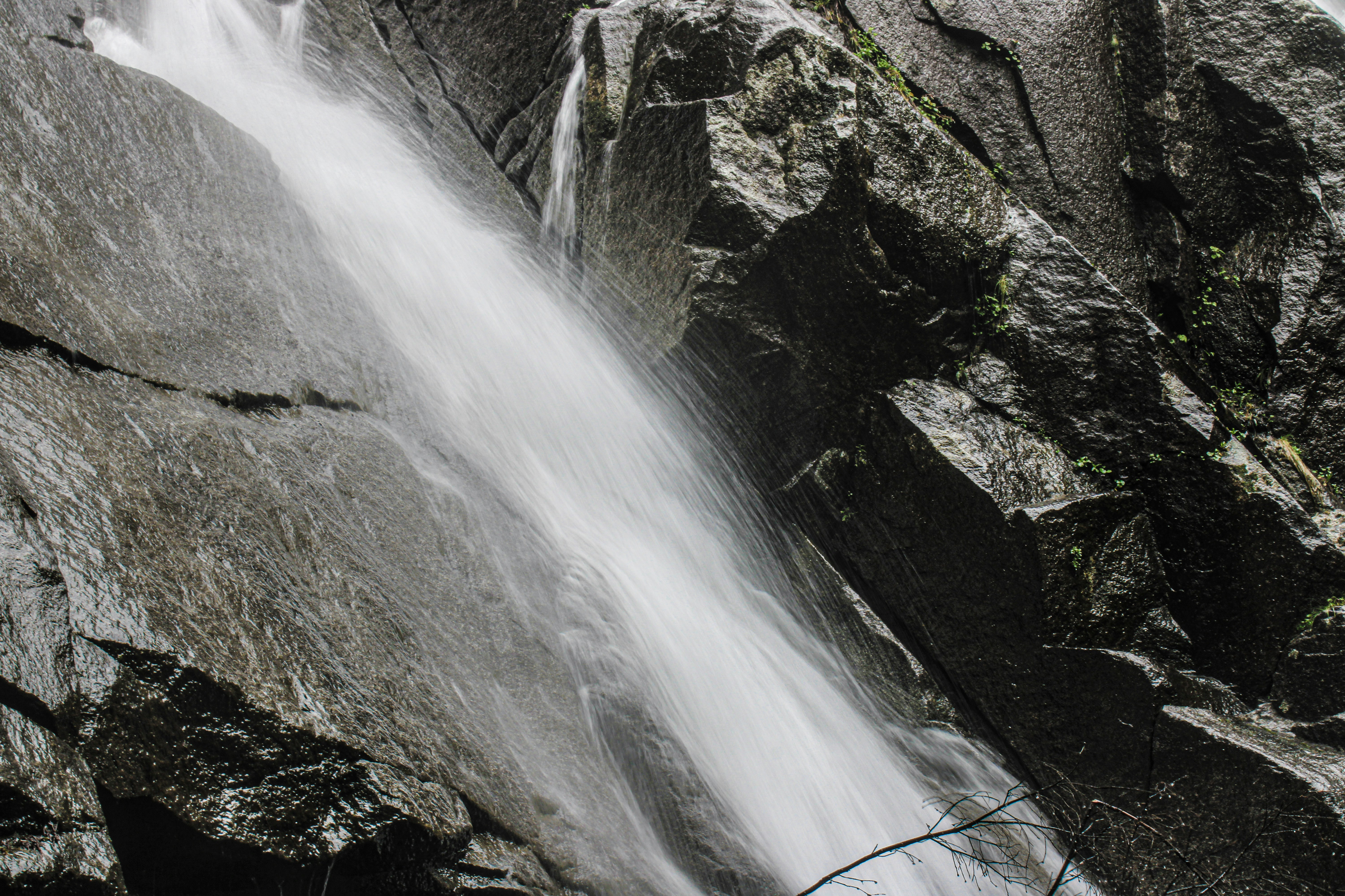 Photo by prphotography262