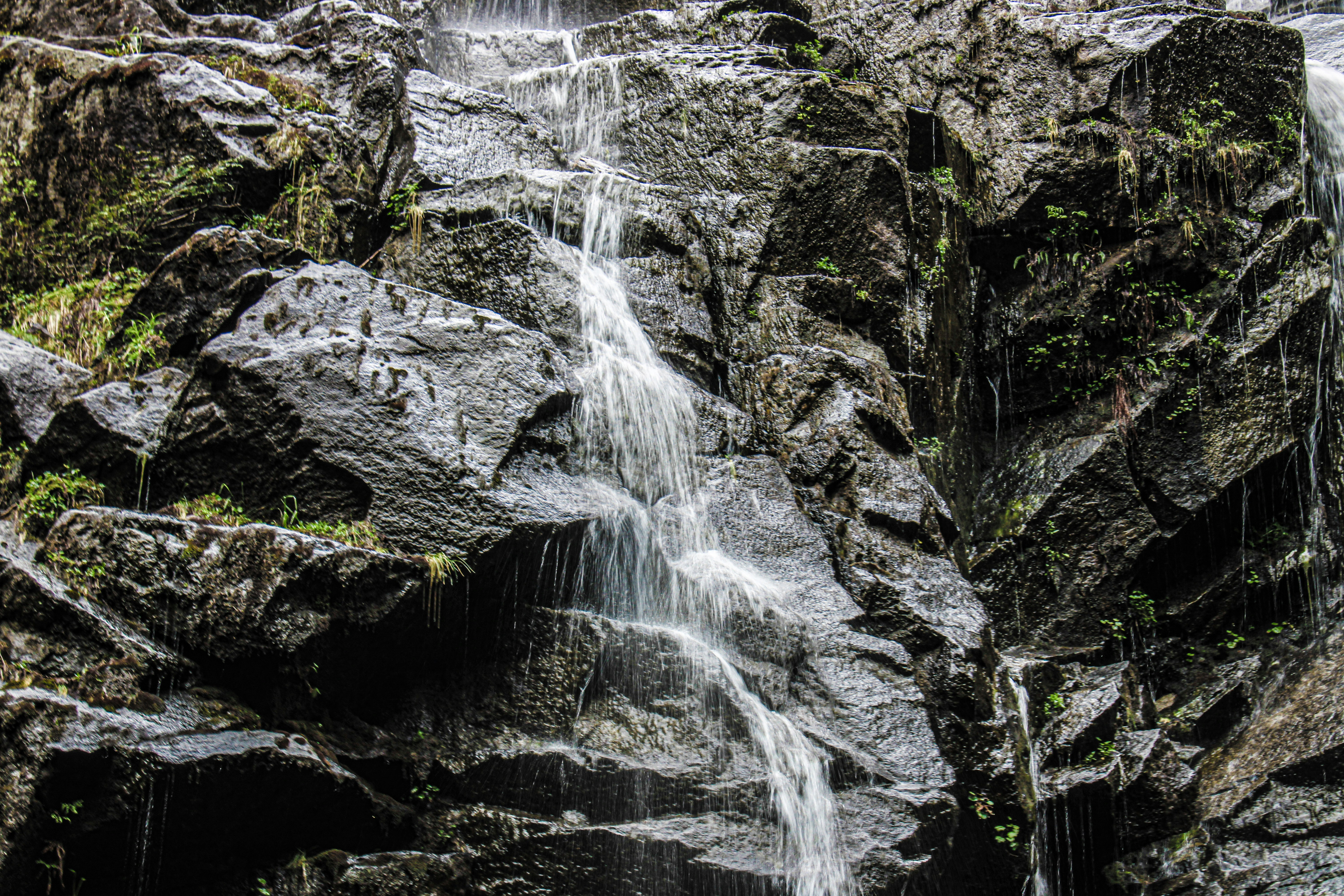 Photo by prphotography262