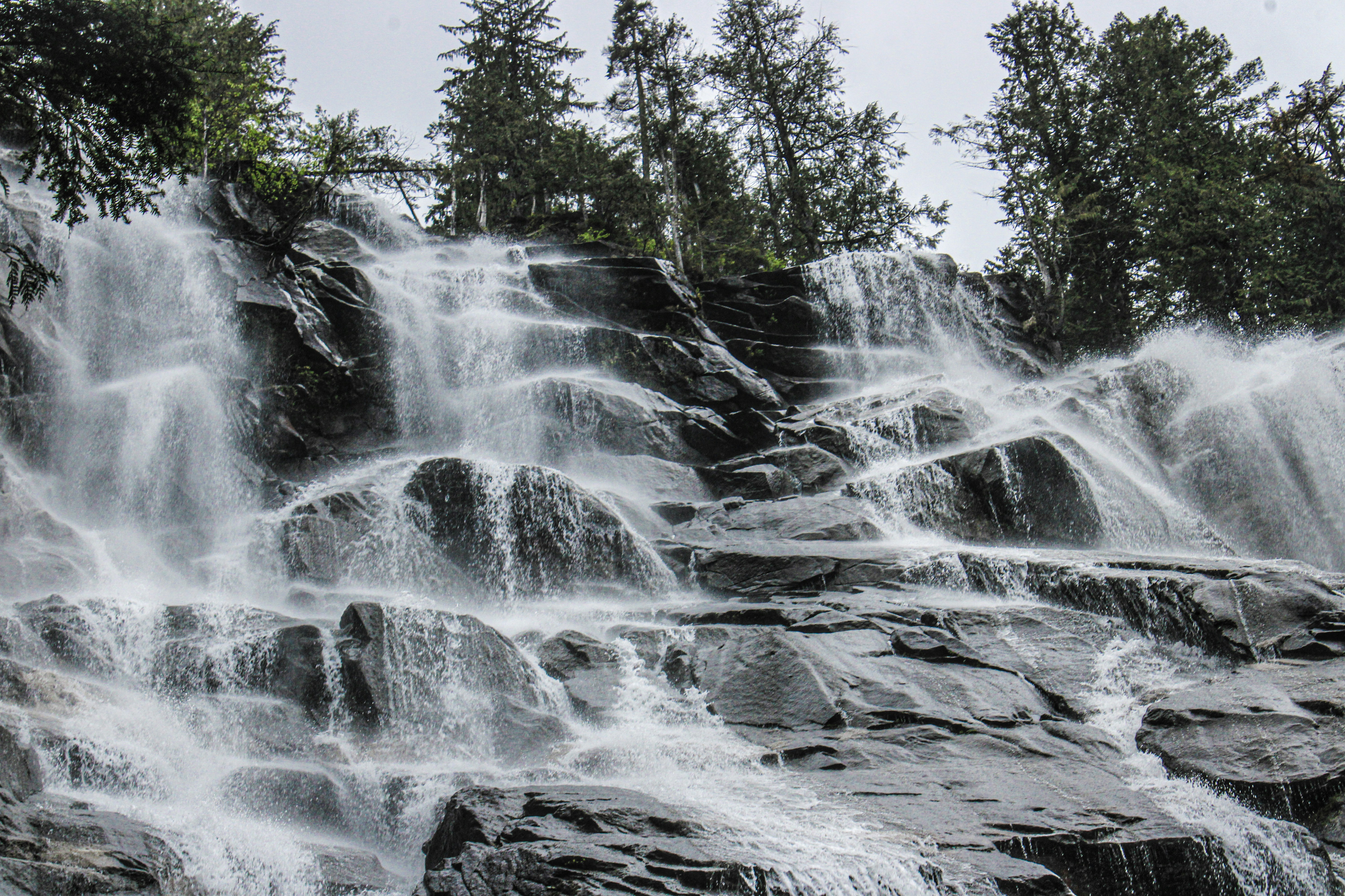 Photo by prphotography262