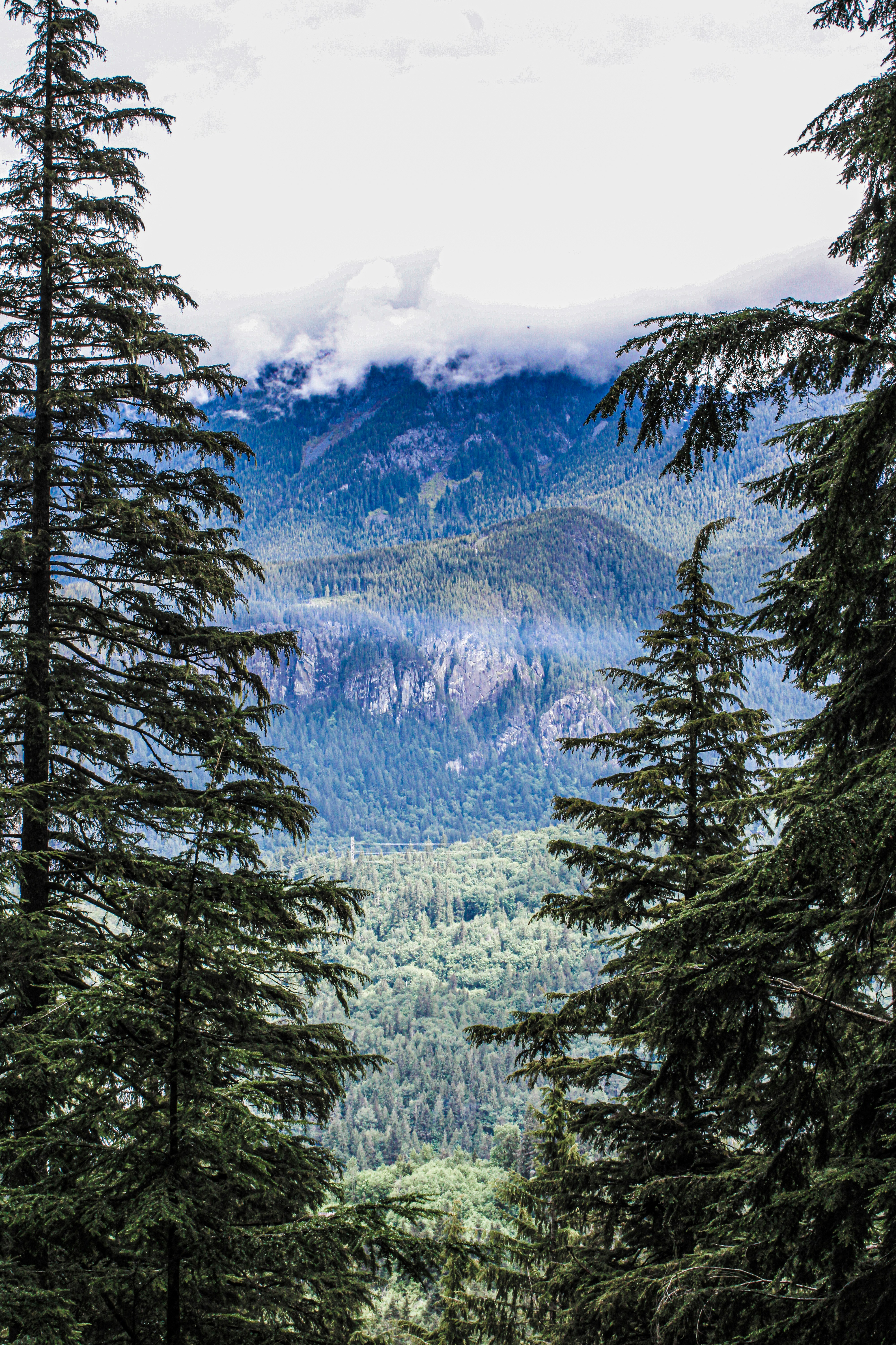 Photo by prphotography262