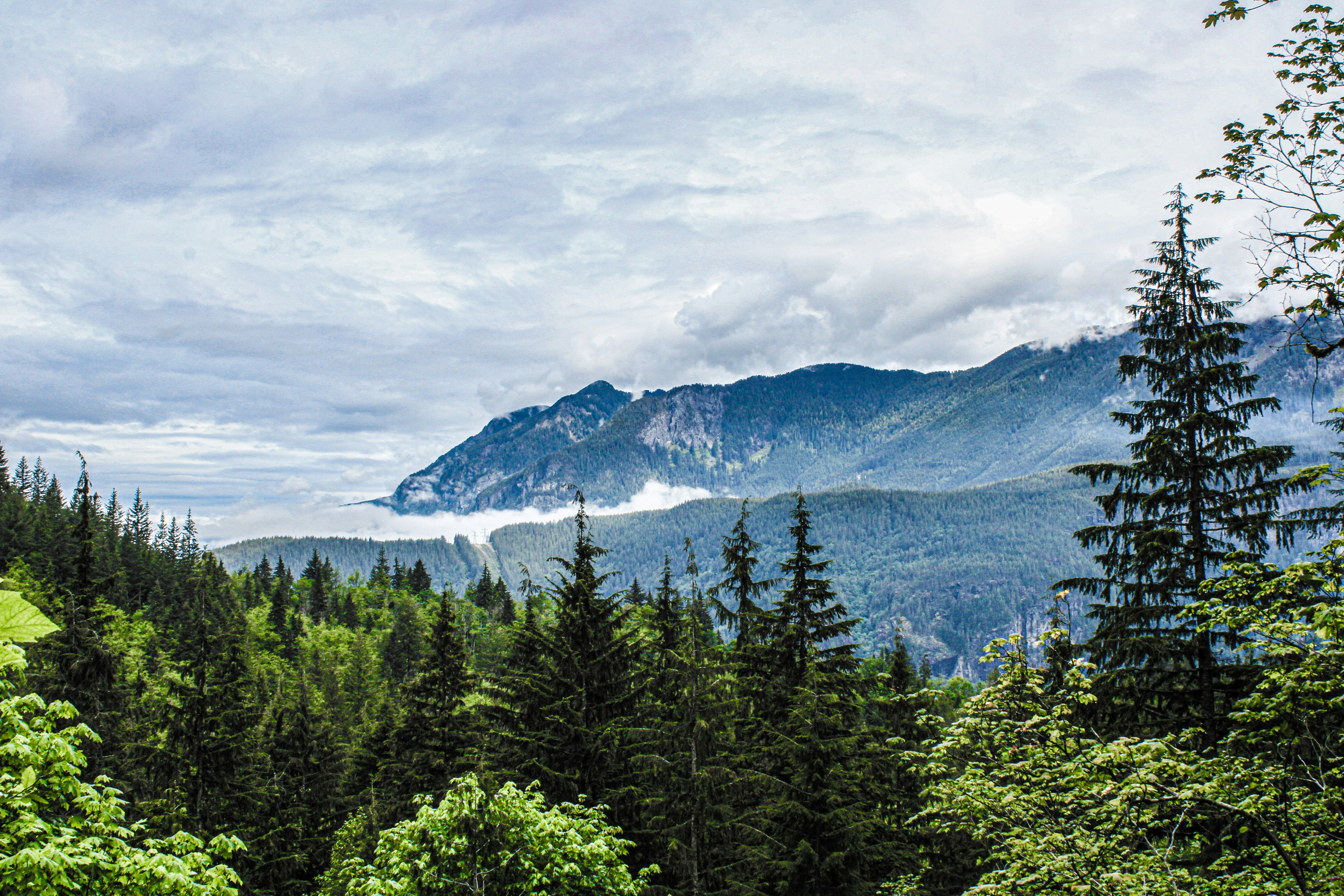 체지방률과 체질량지수 차이점 및 인바디와의 비교