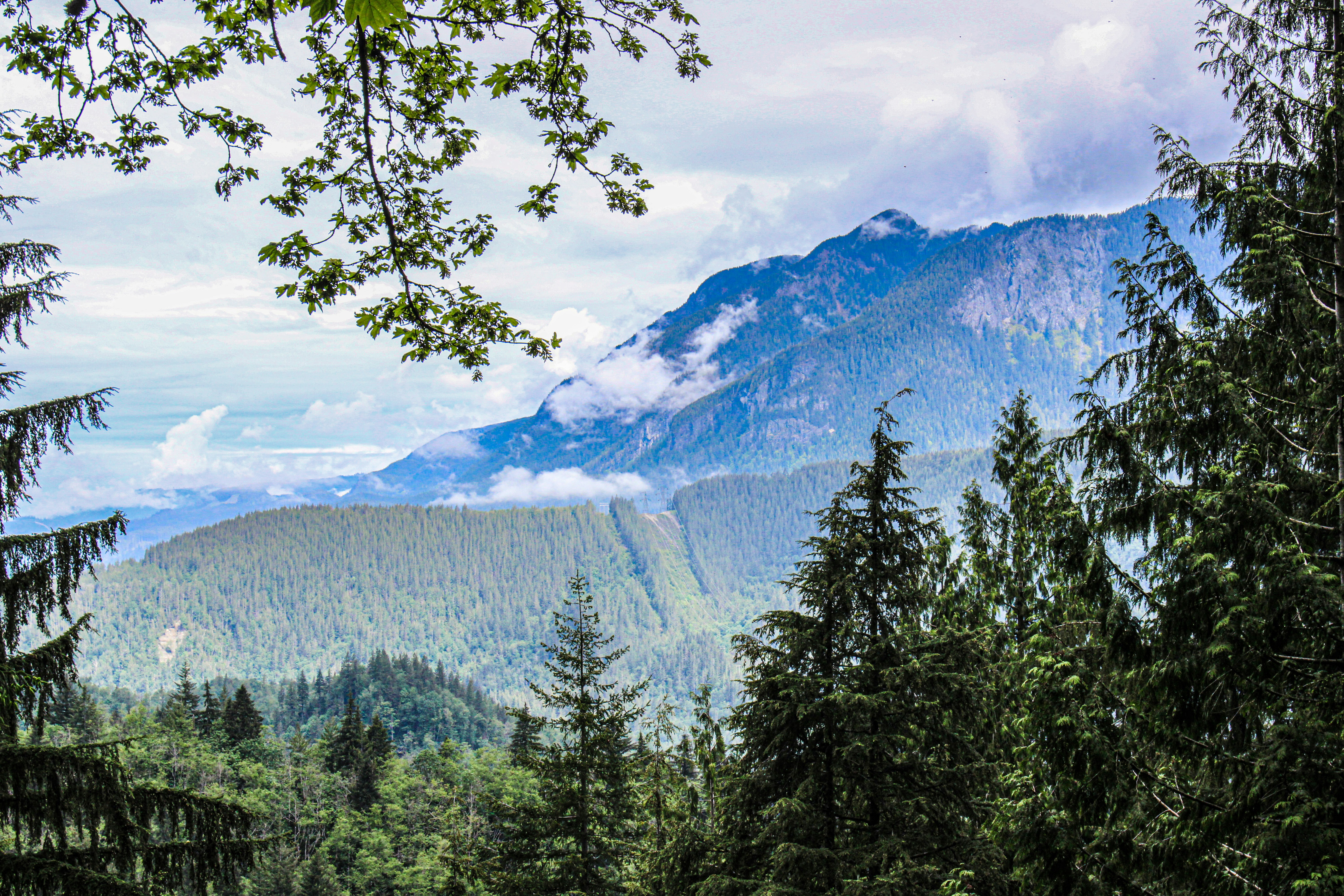 Photo by prphotography262