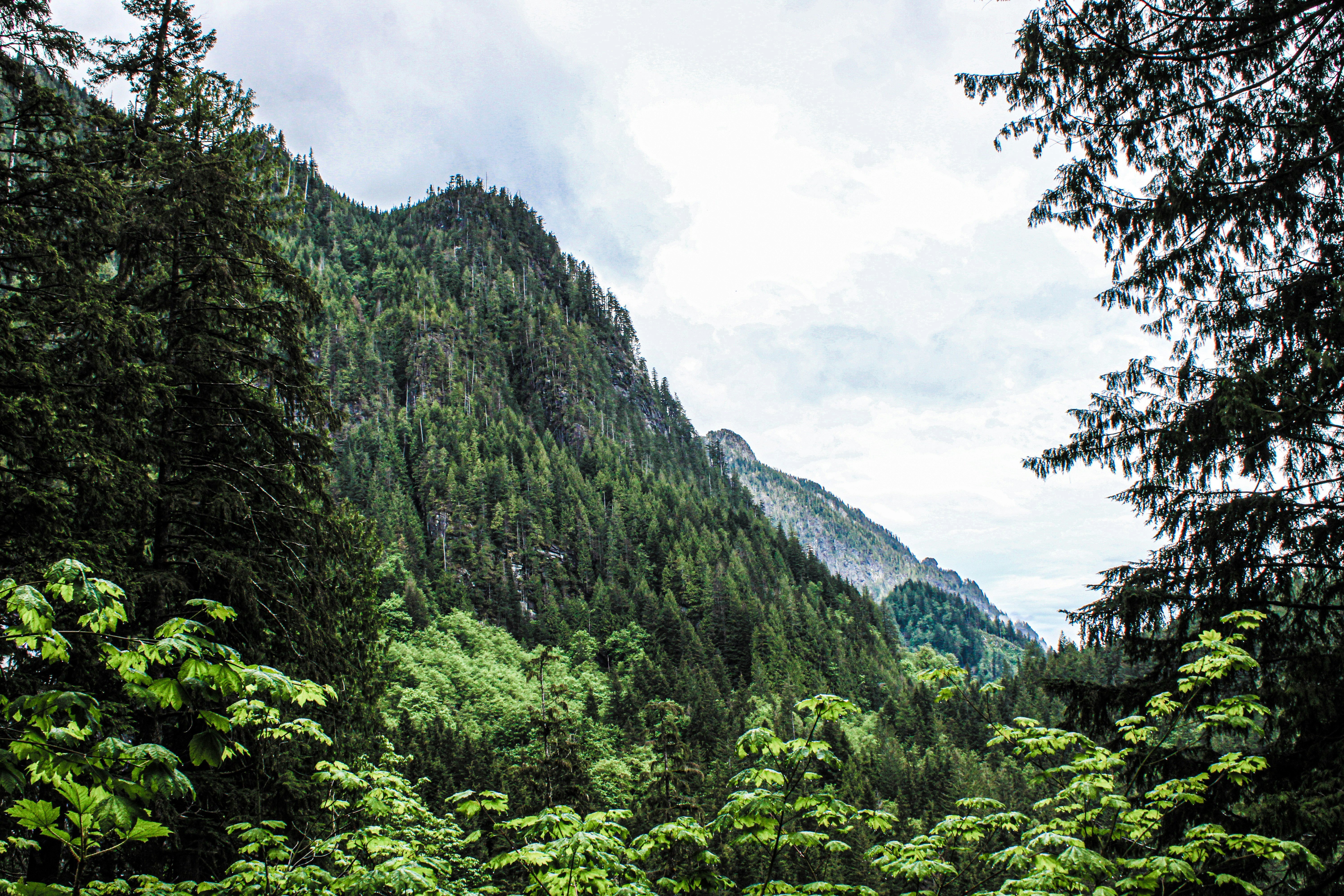 Photo by prphotography262