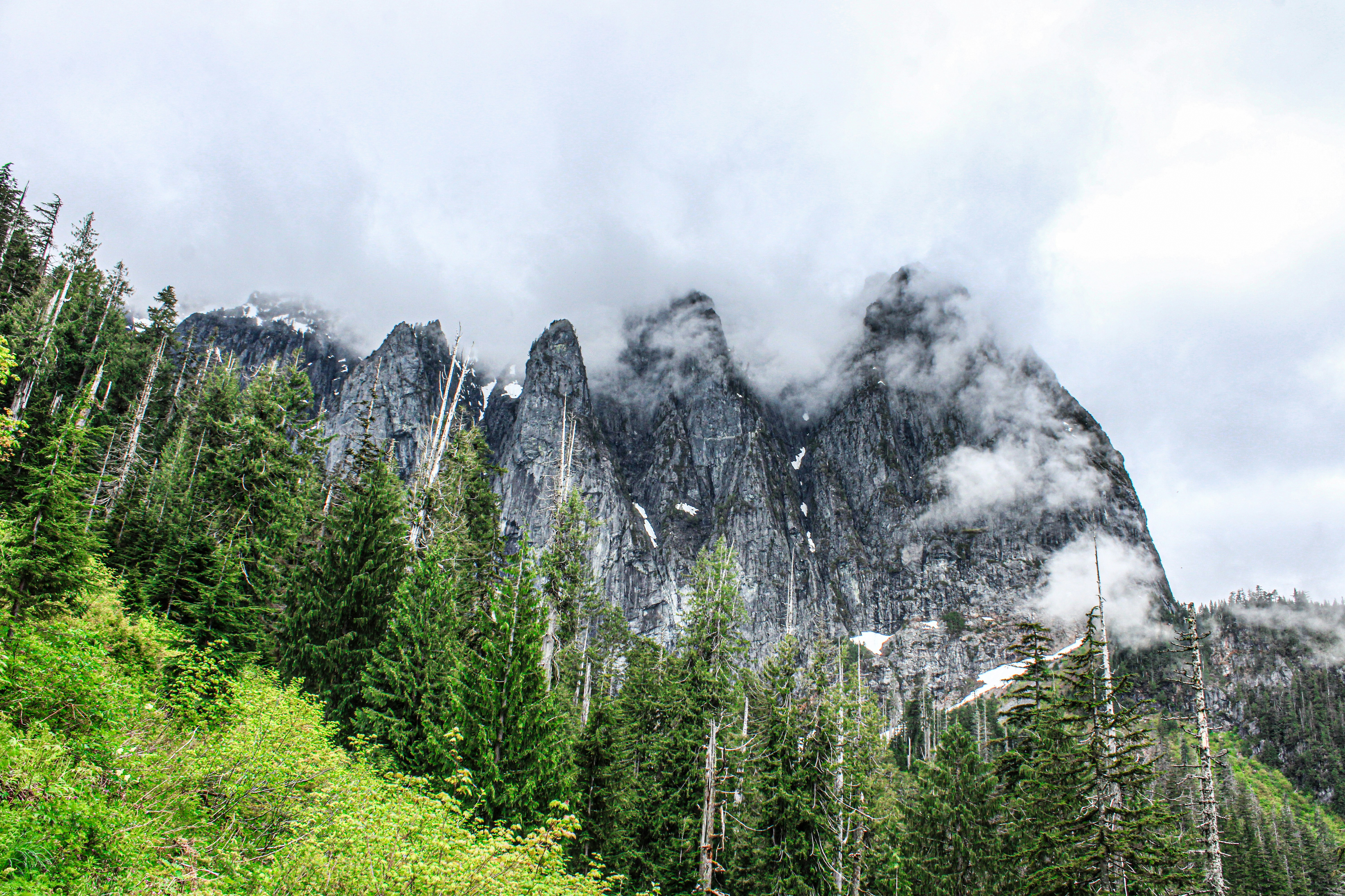 Photo by prphotography262