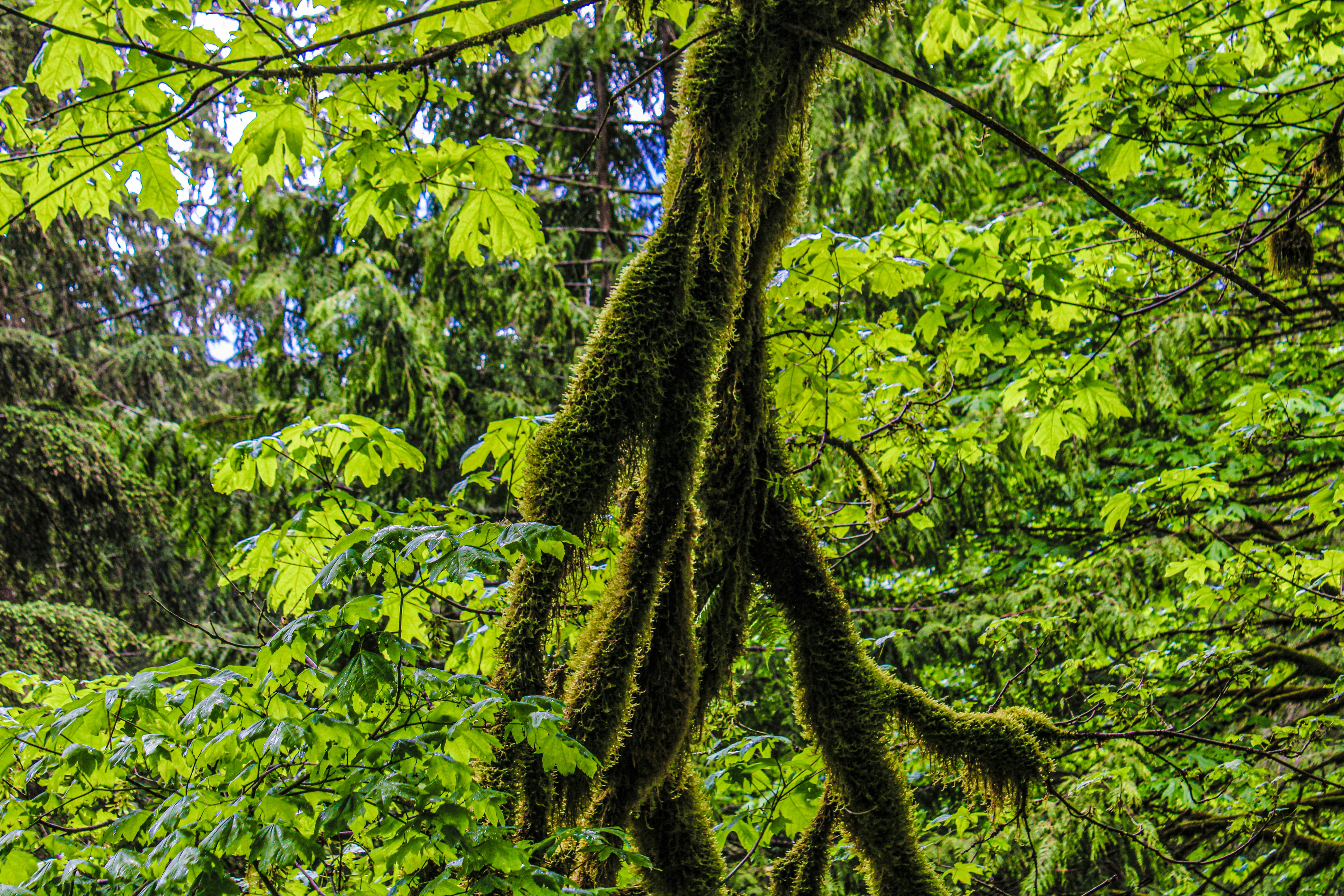 항셍 지수 선물로 단기 수익을 노린 실제 사례