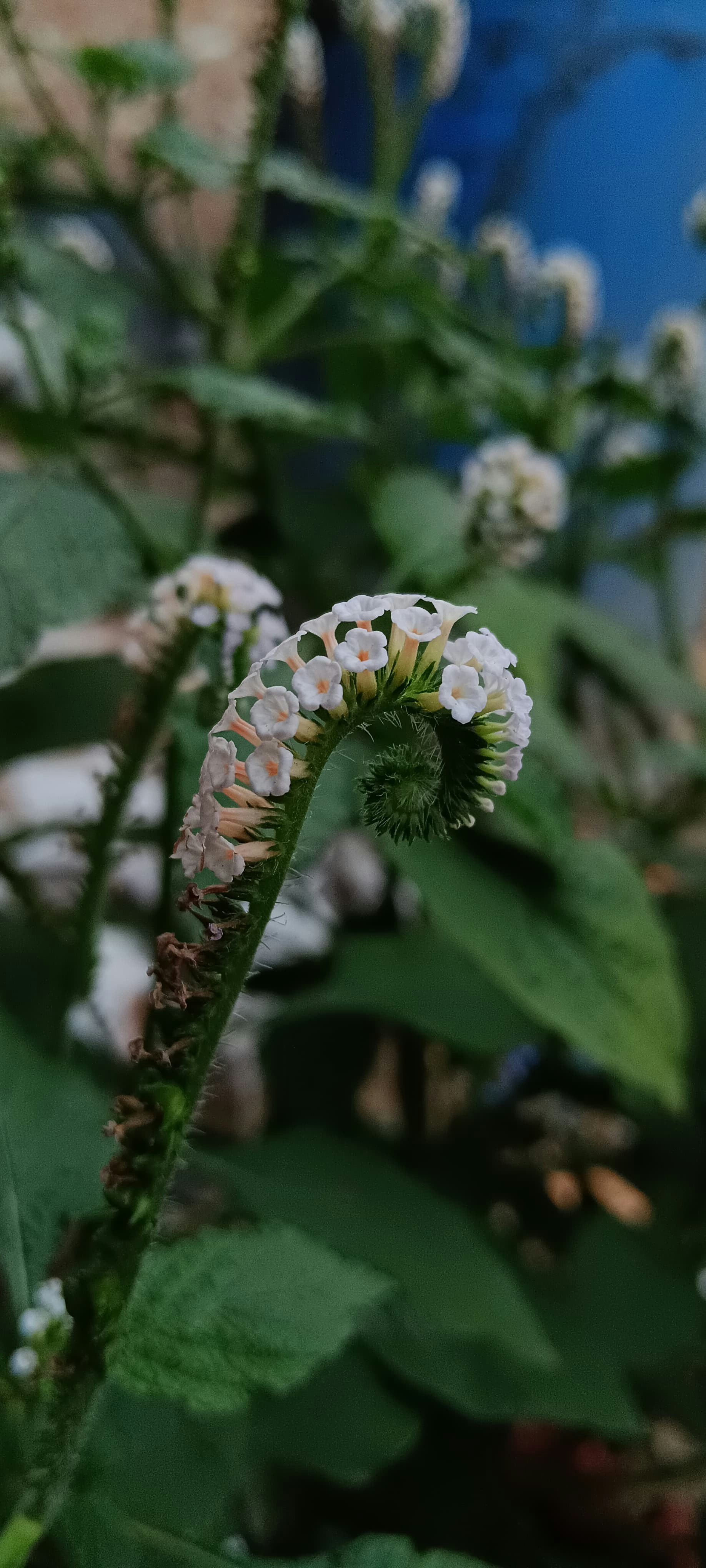 Photo by mdkaifraza