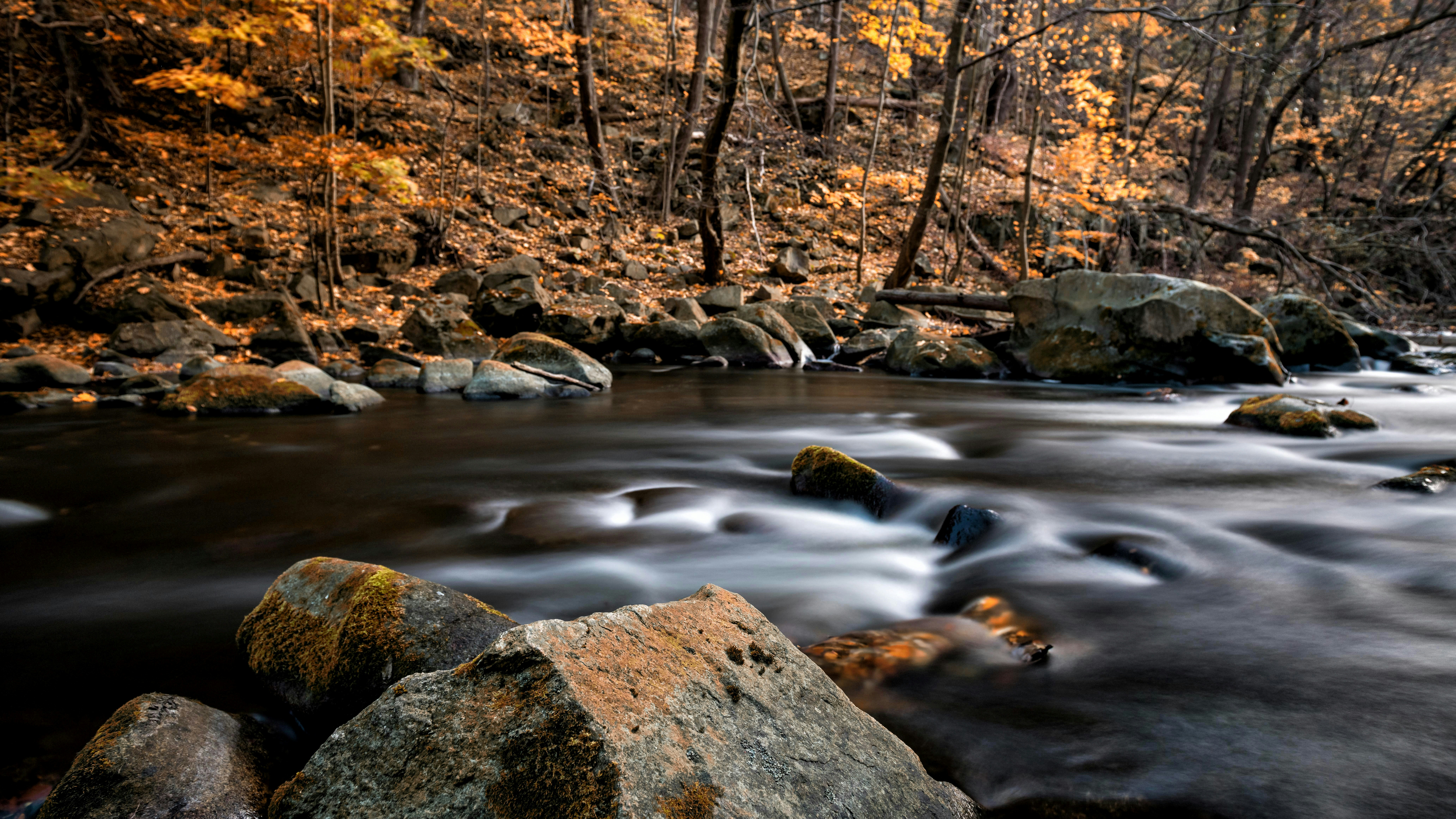 Photo by hamburgmeinefreundin