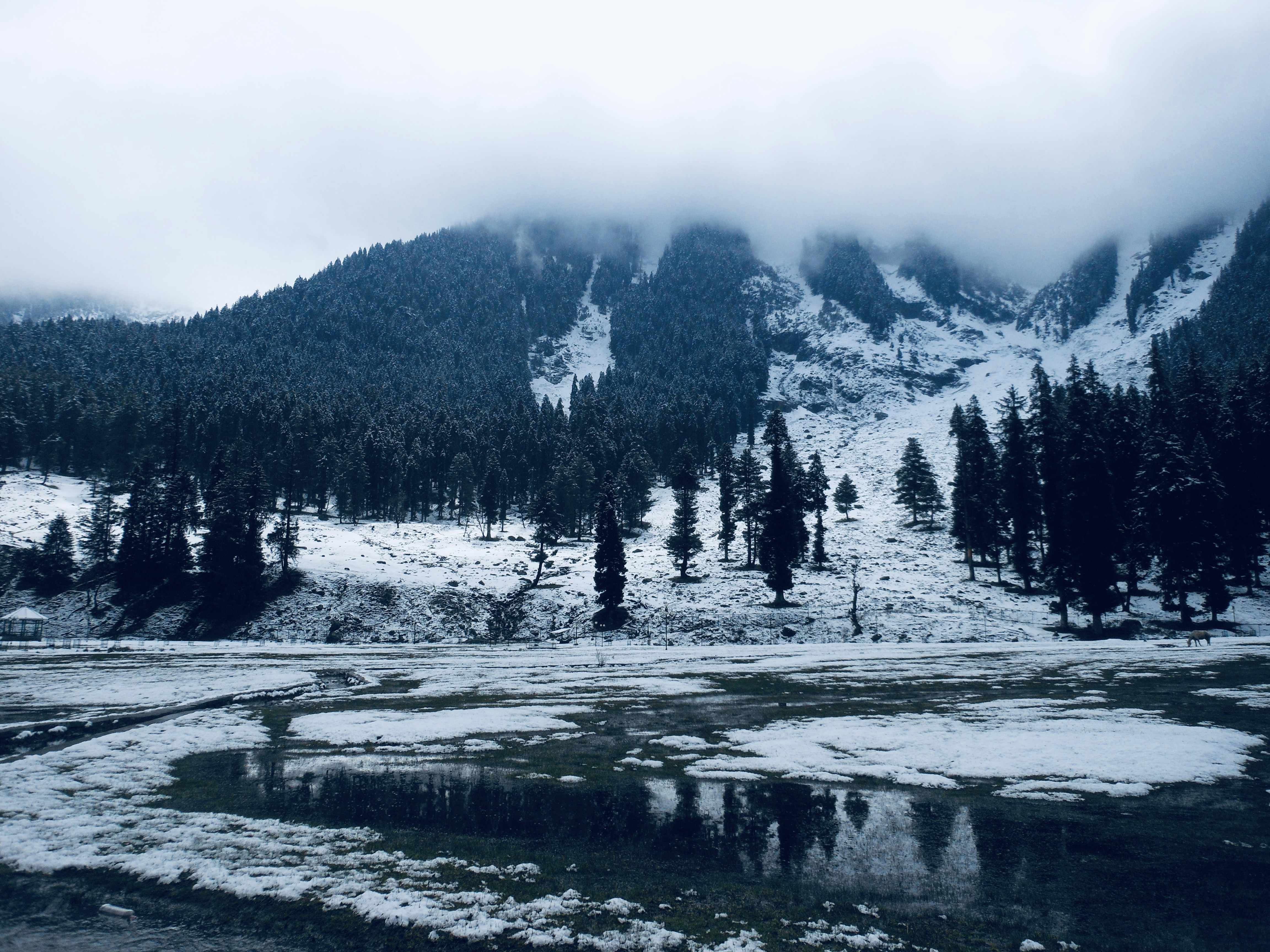 Photo by yashgundaraniya