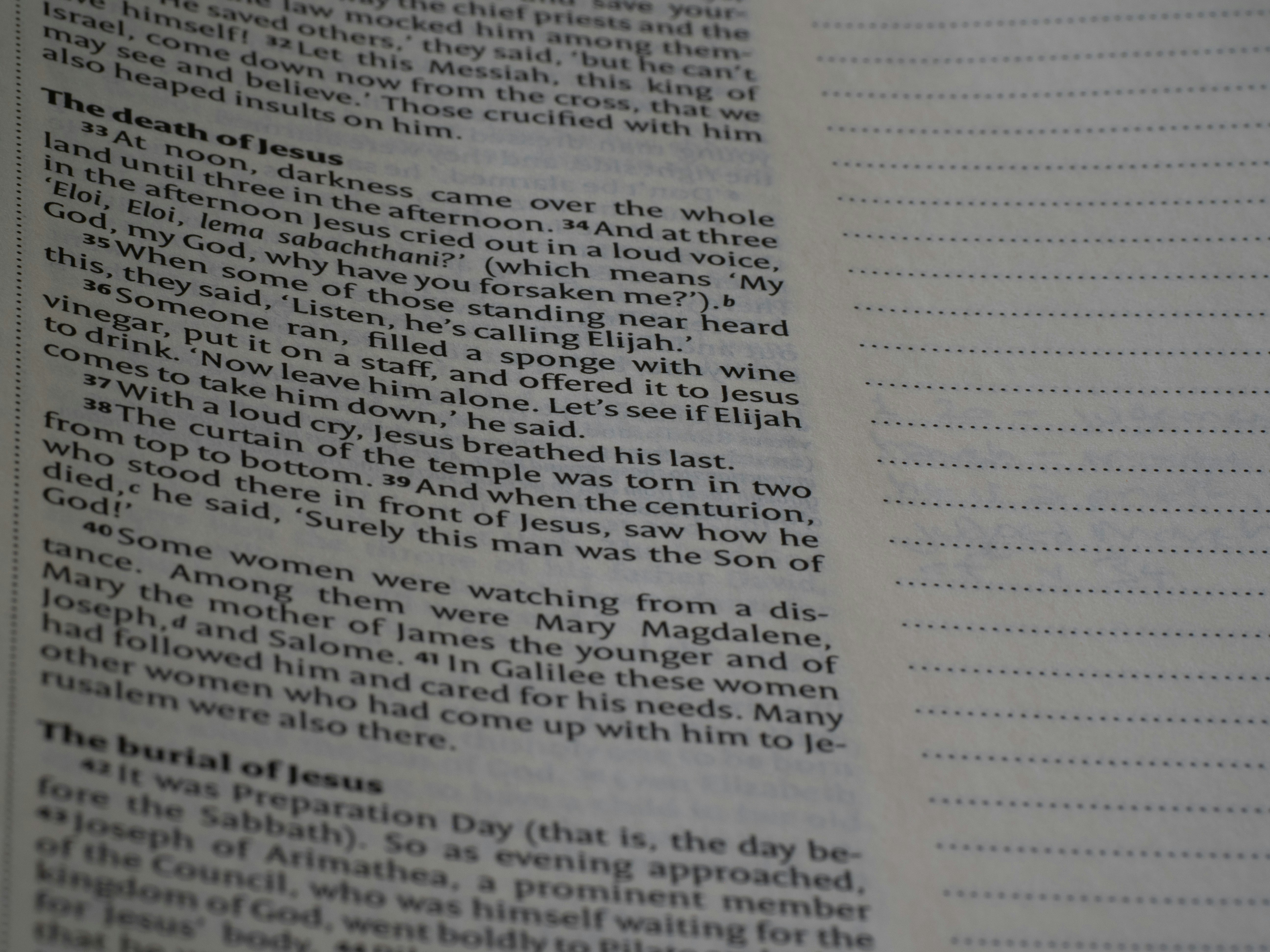 Photo by brett_jordan