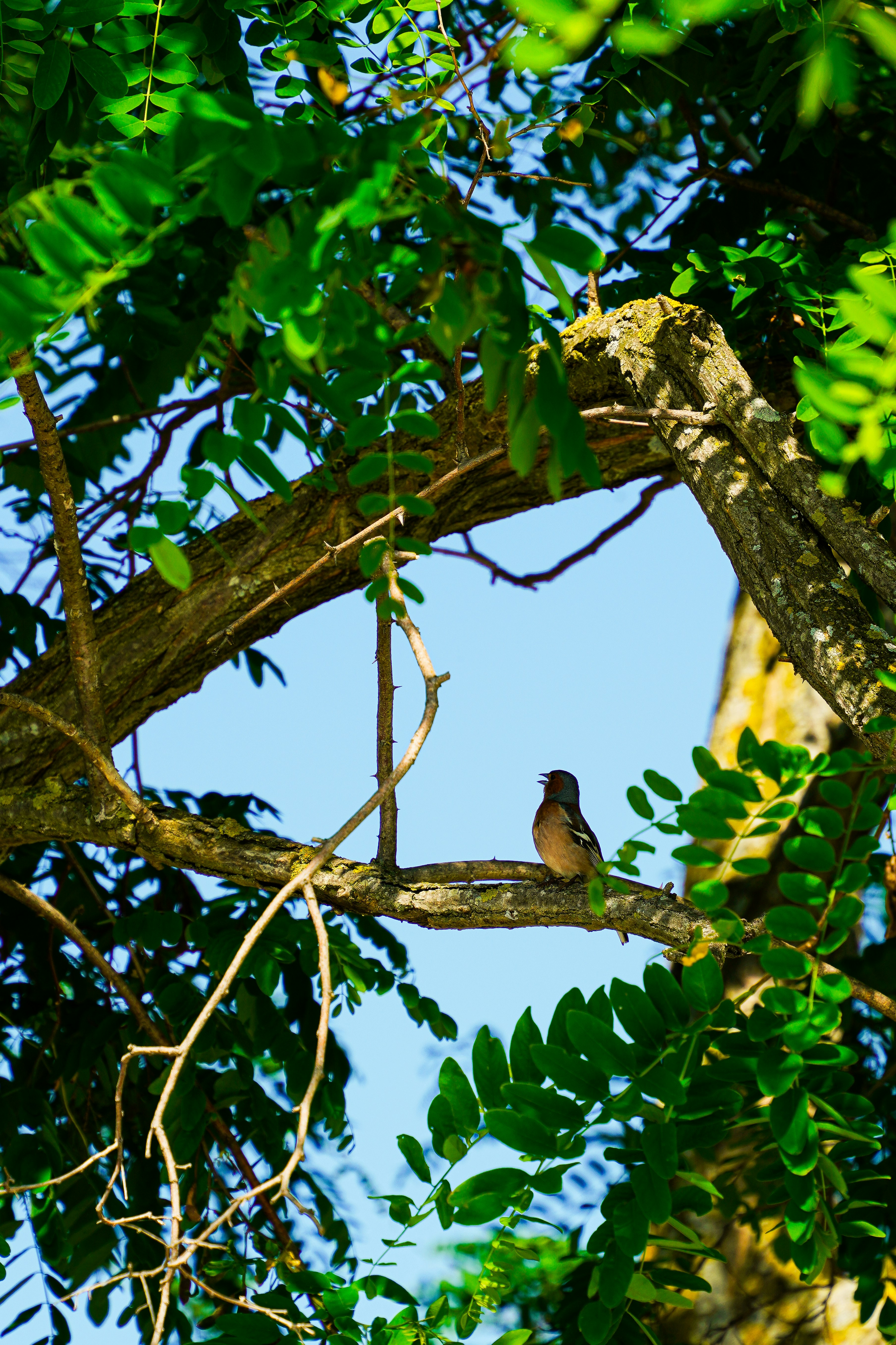 Photo by magictravel