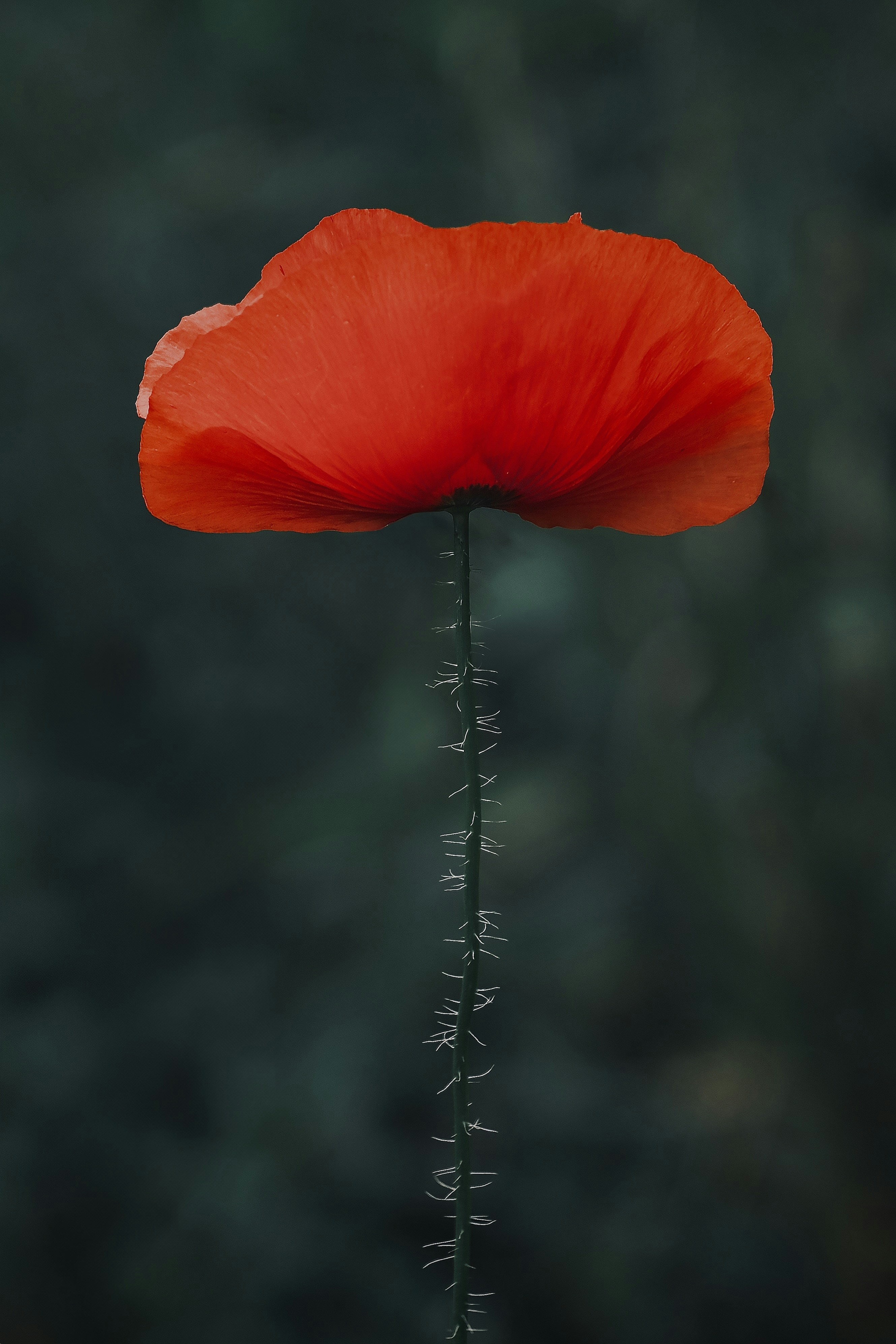 Photo by mkrawczynski