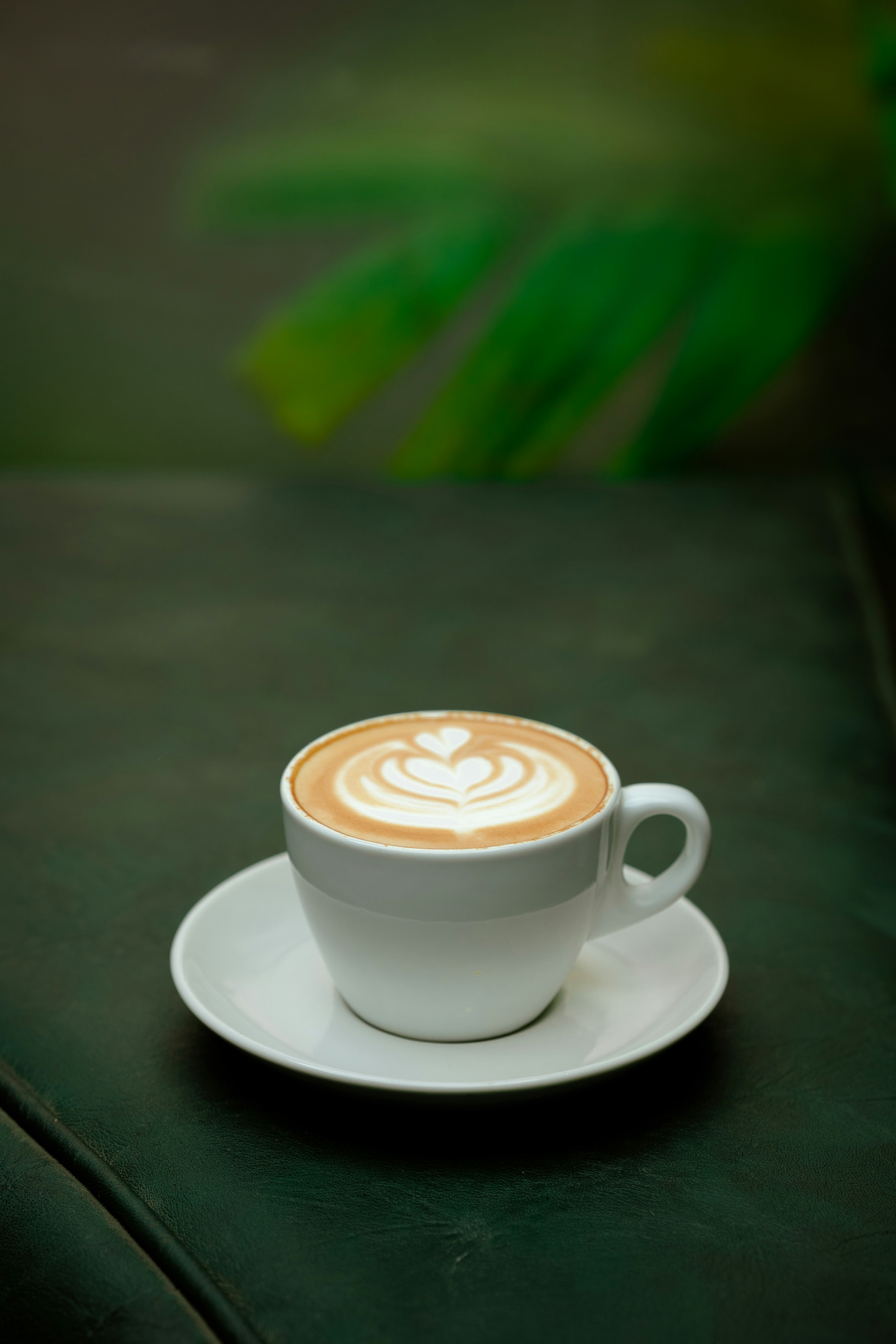 Photo by circledigitalmarketingagency