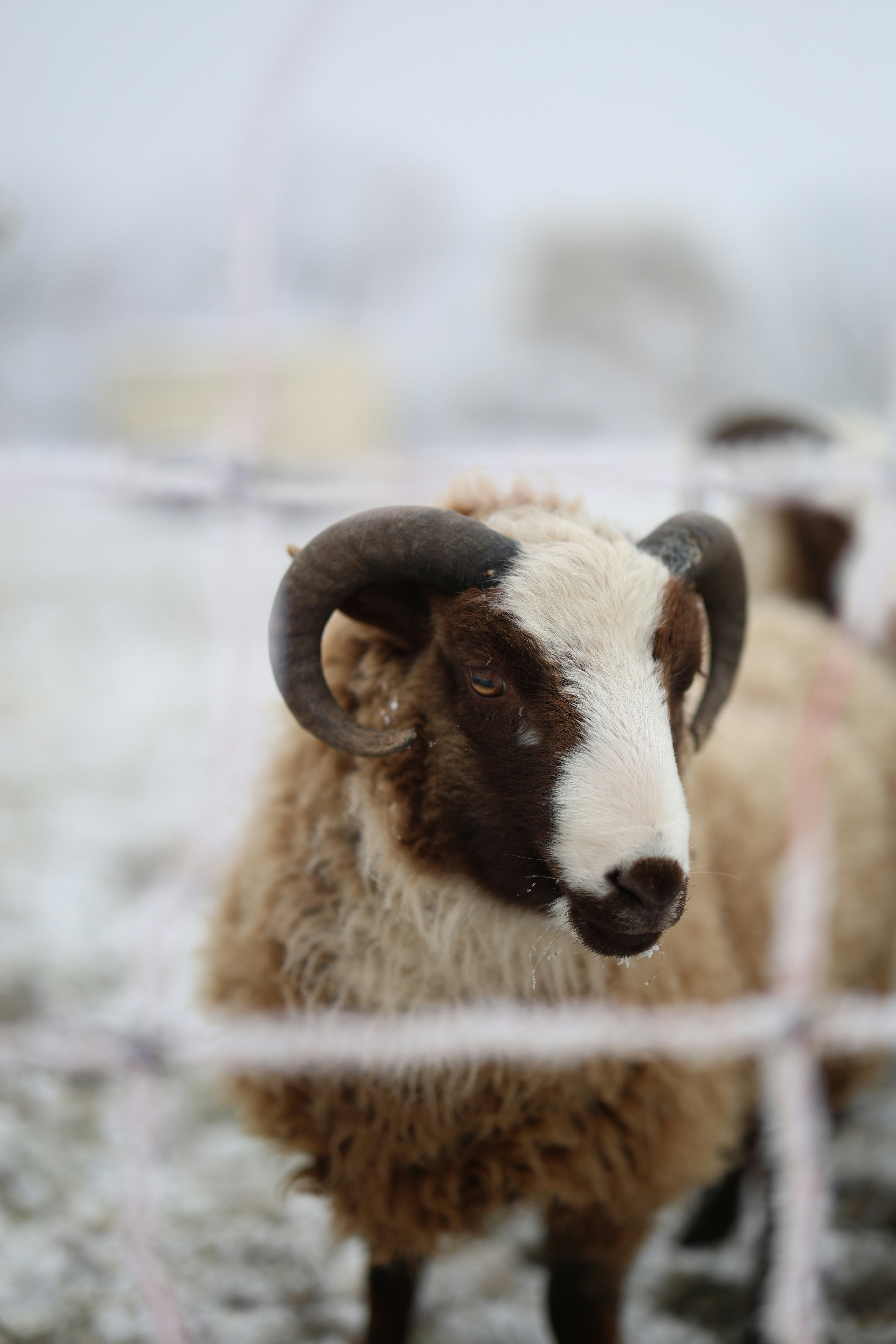 Photo by chris_reyem