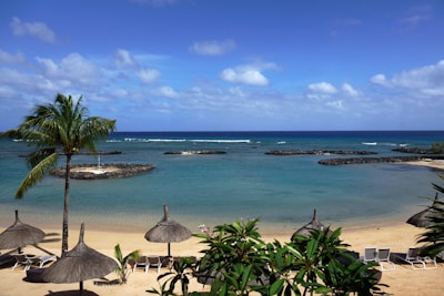 a sandy beach with umbrellas and palm trees