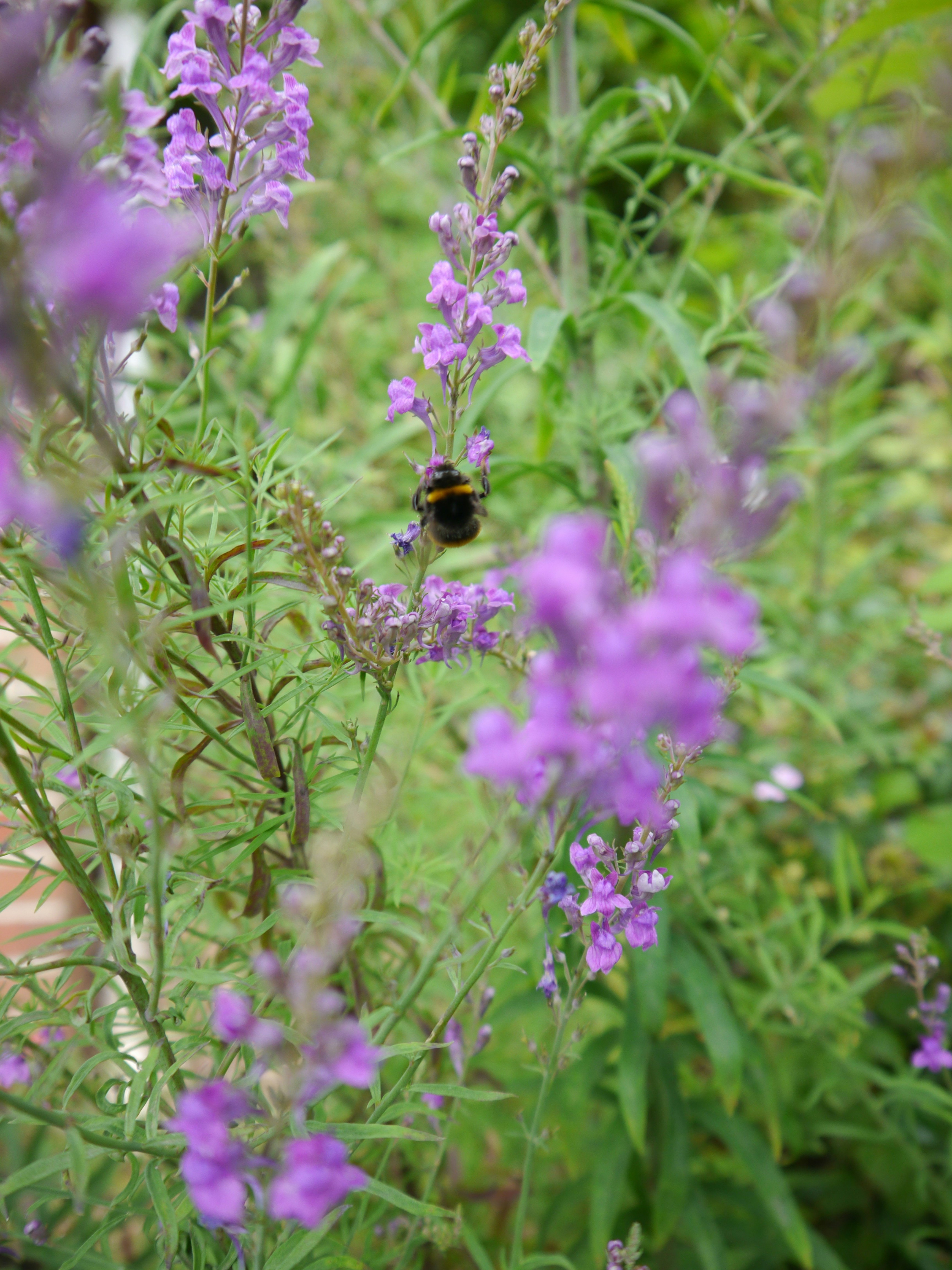 Photo by iqsphotography