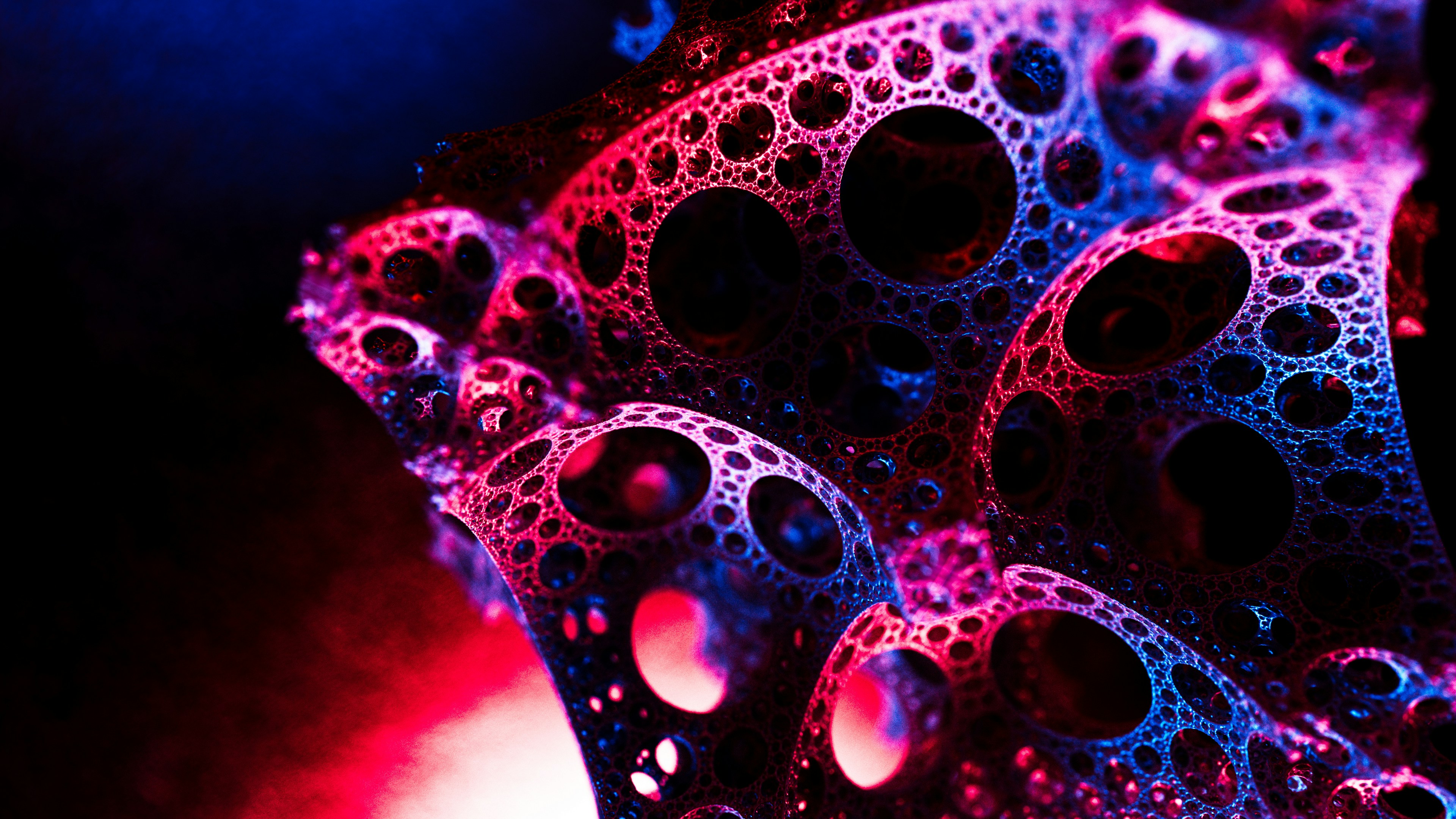 Un primer plano de un jarrón con gotas de agua