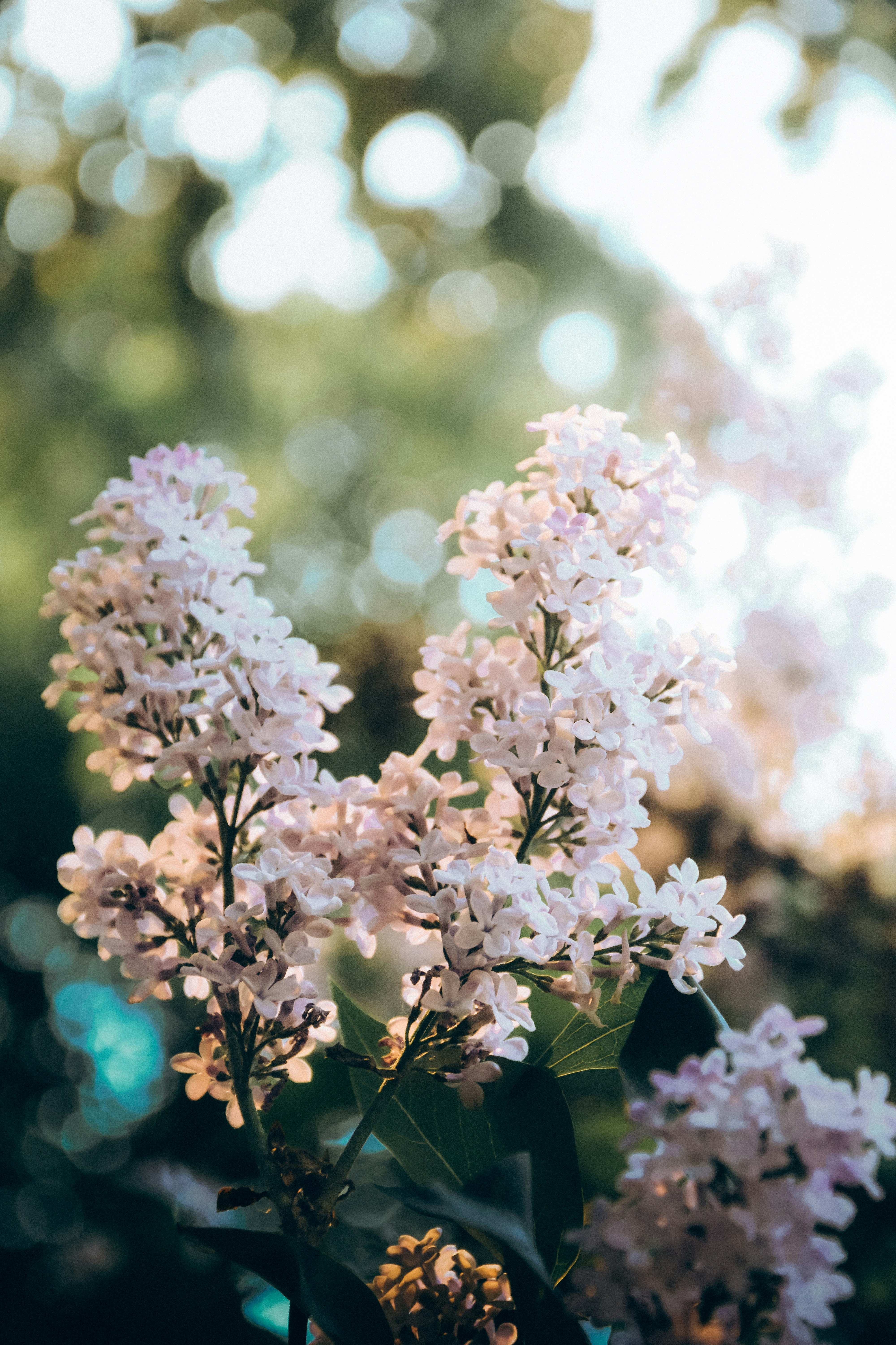 Photo by impermanent