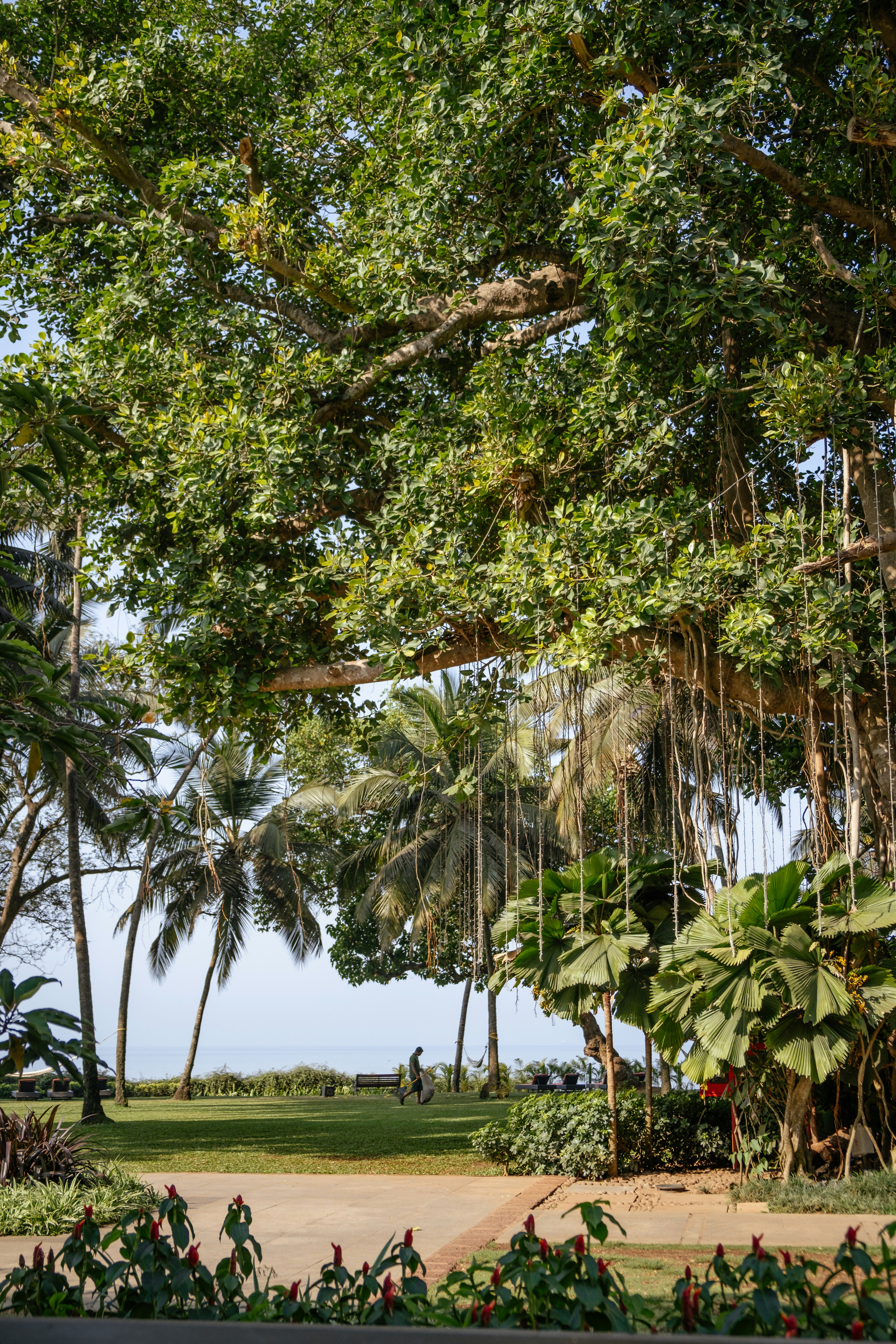 Photo by johanmouchet