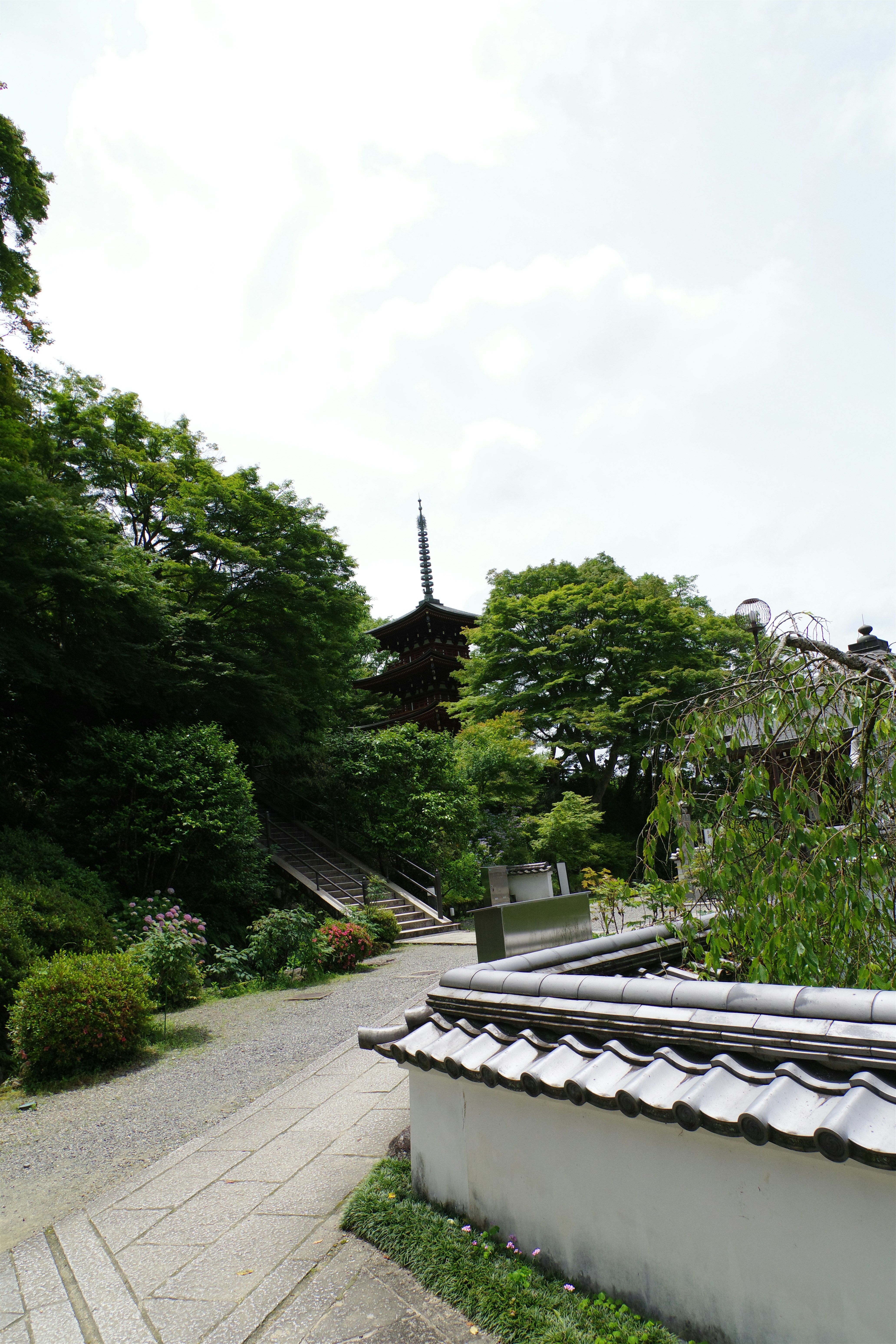 Photo by naopp