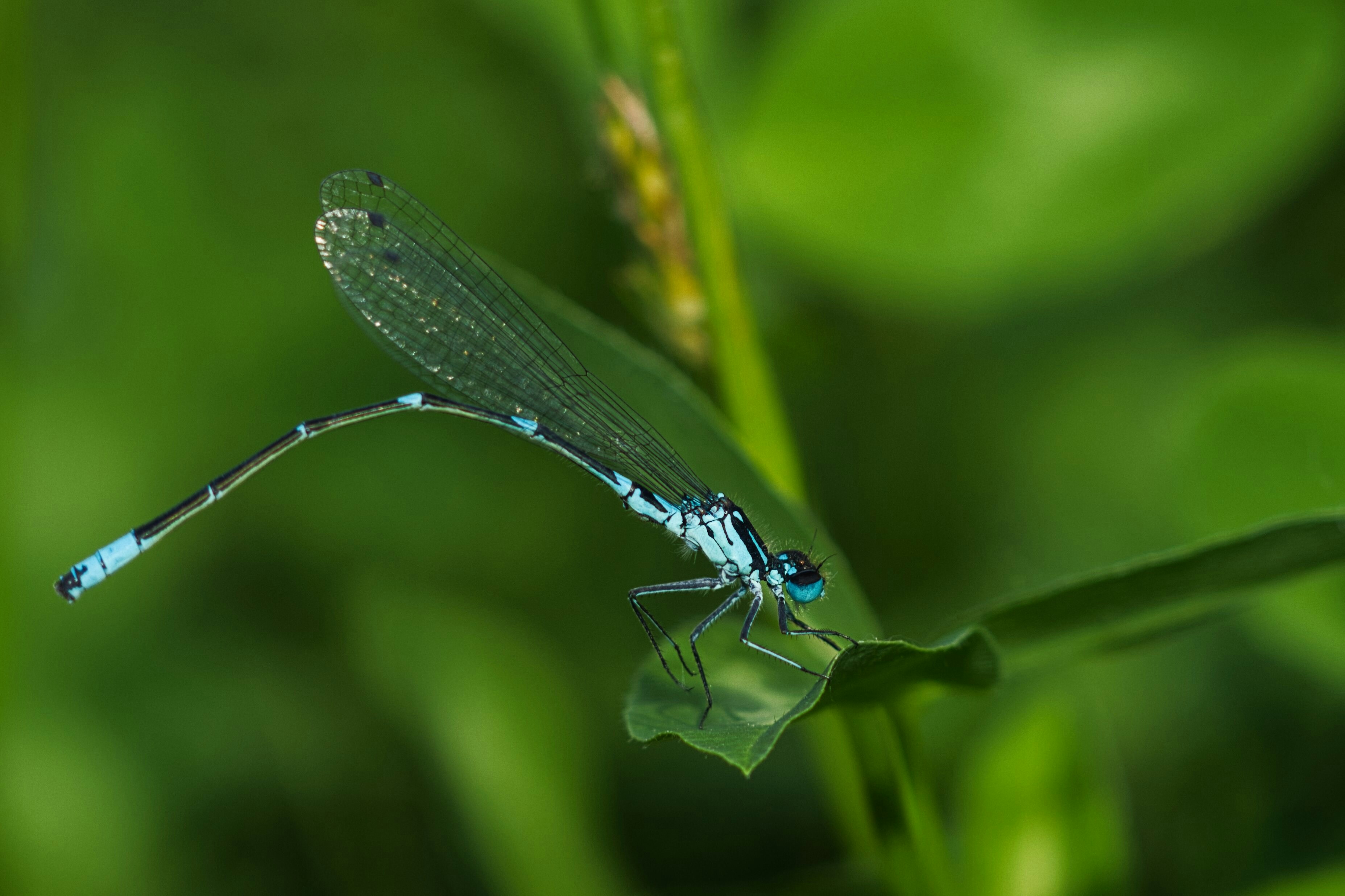 看不見的細節，為什麼值得？