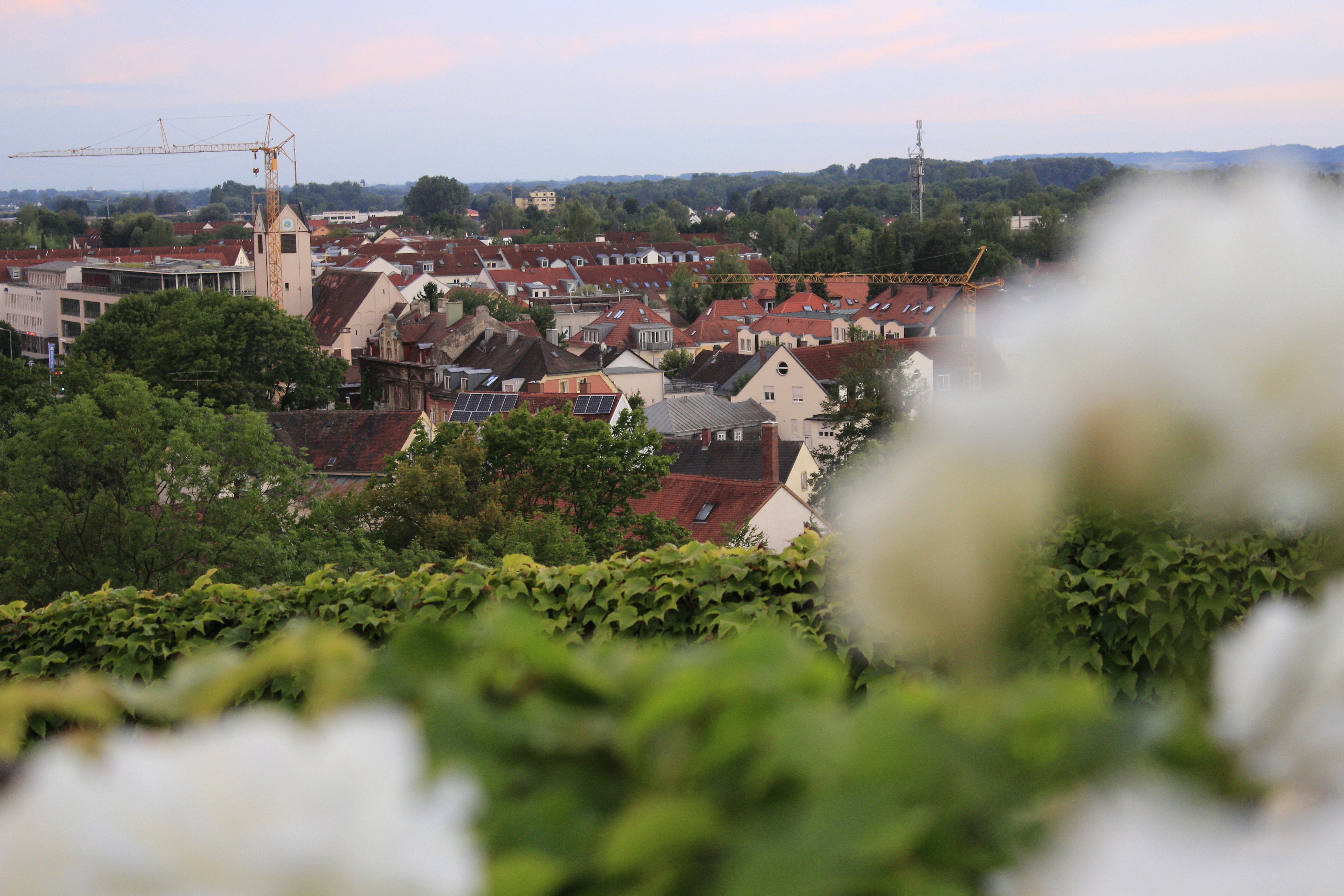 Photo by kateryna_shevchenko