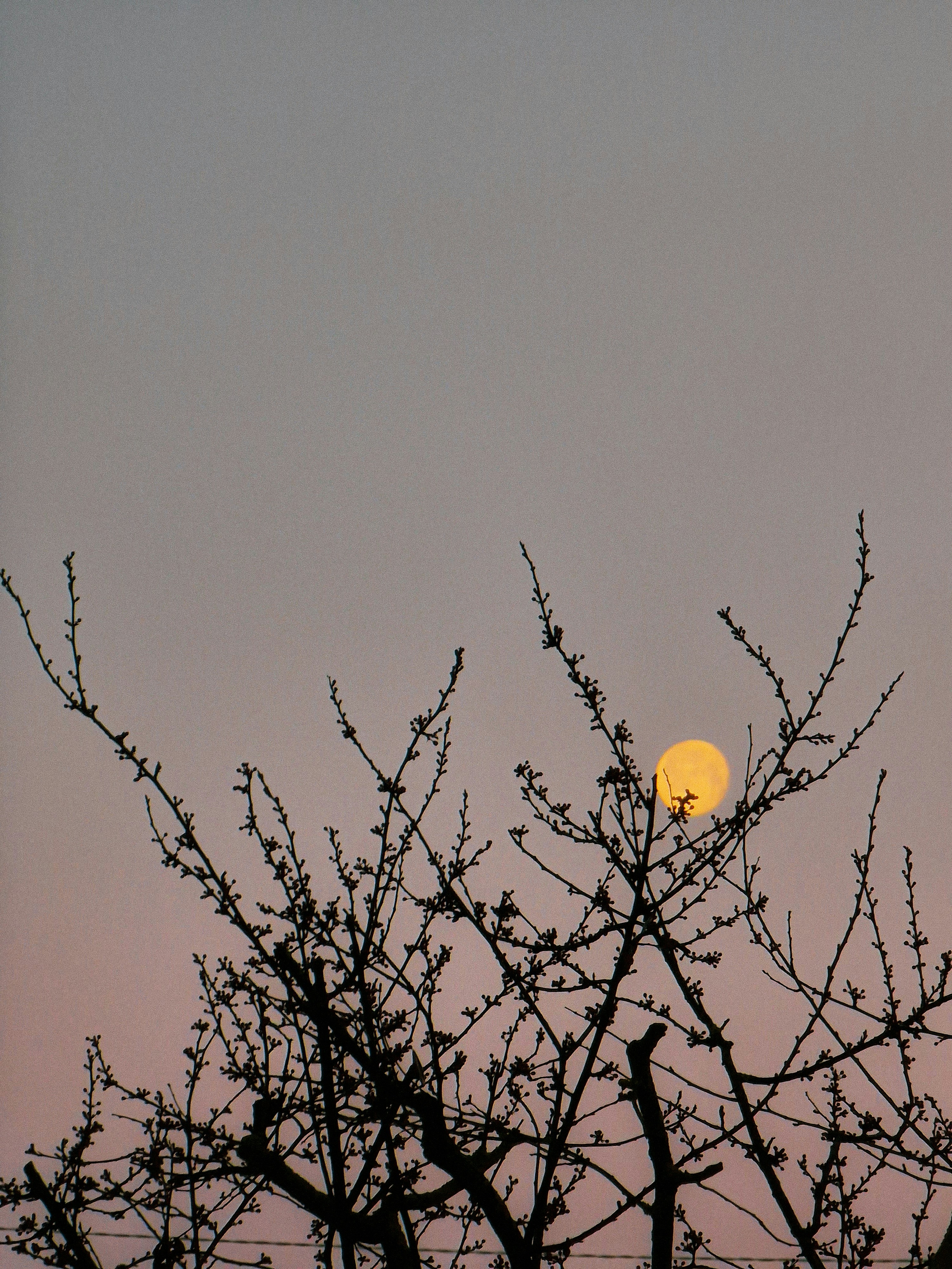 Photo by blankosphere