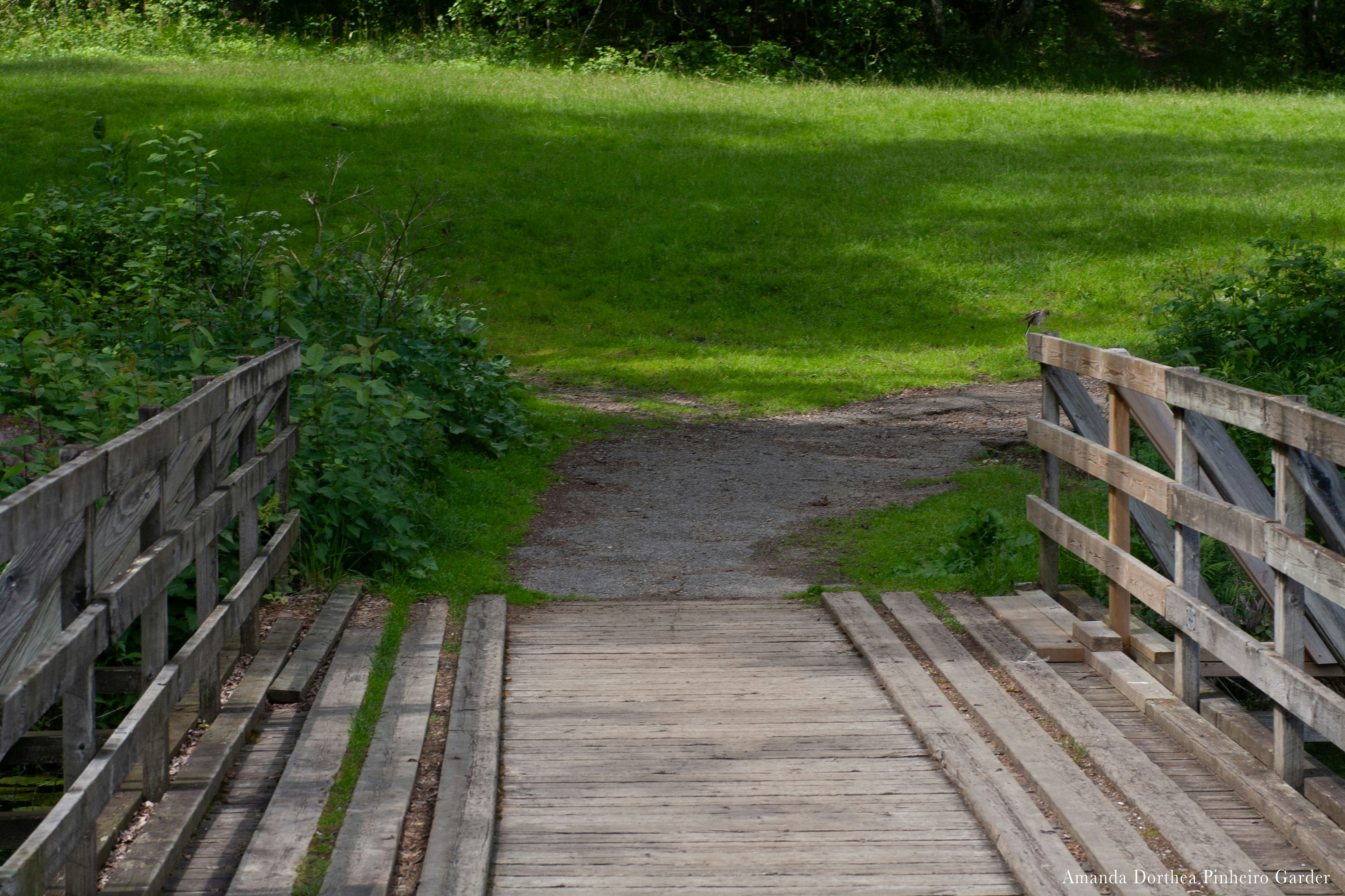 Photo by pinheiro_photo