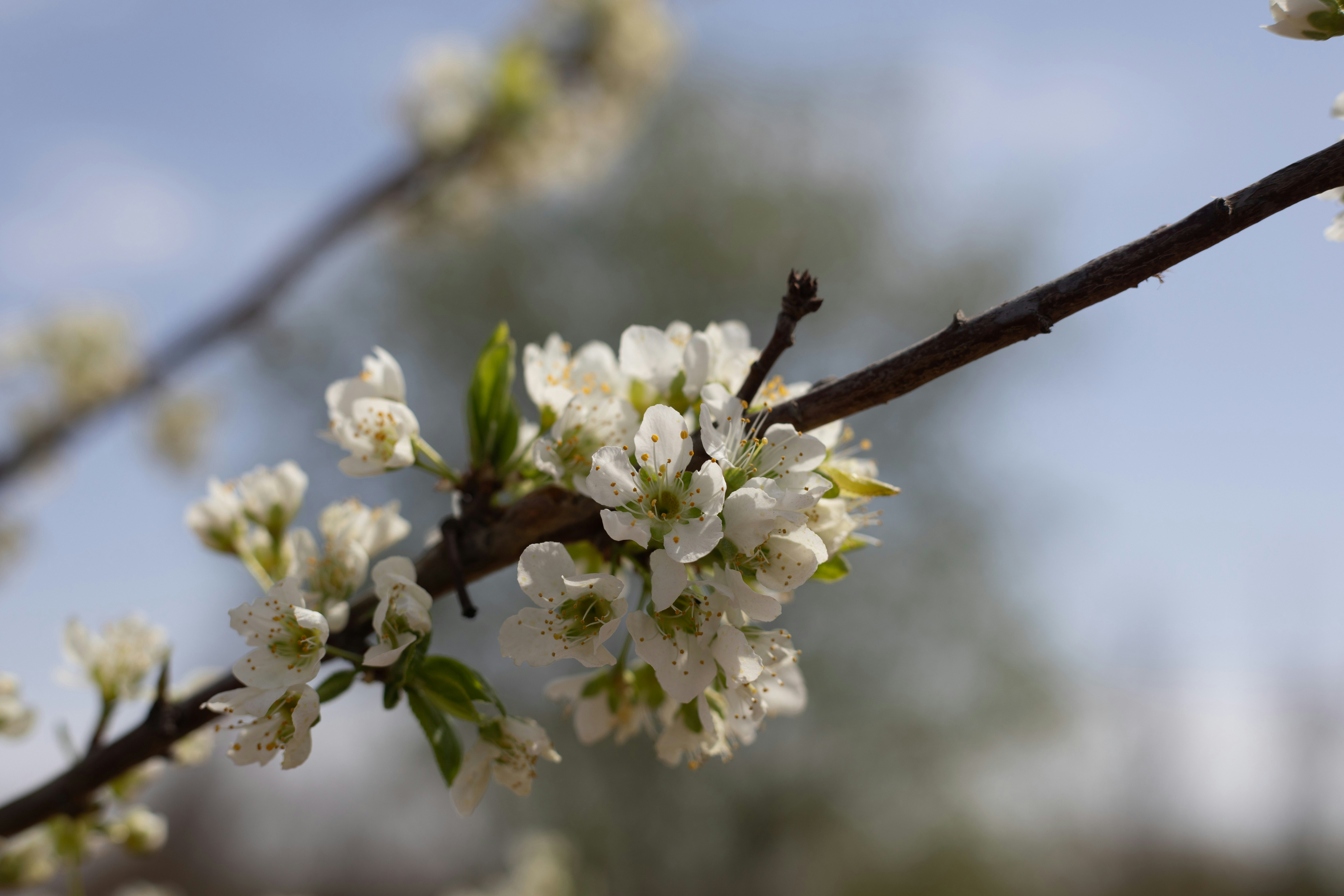 Photo by captain_wang_09