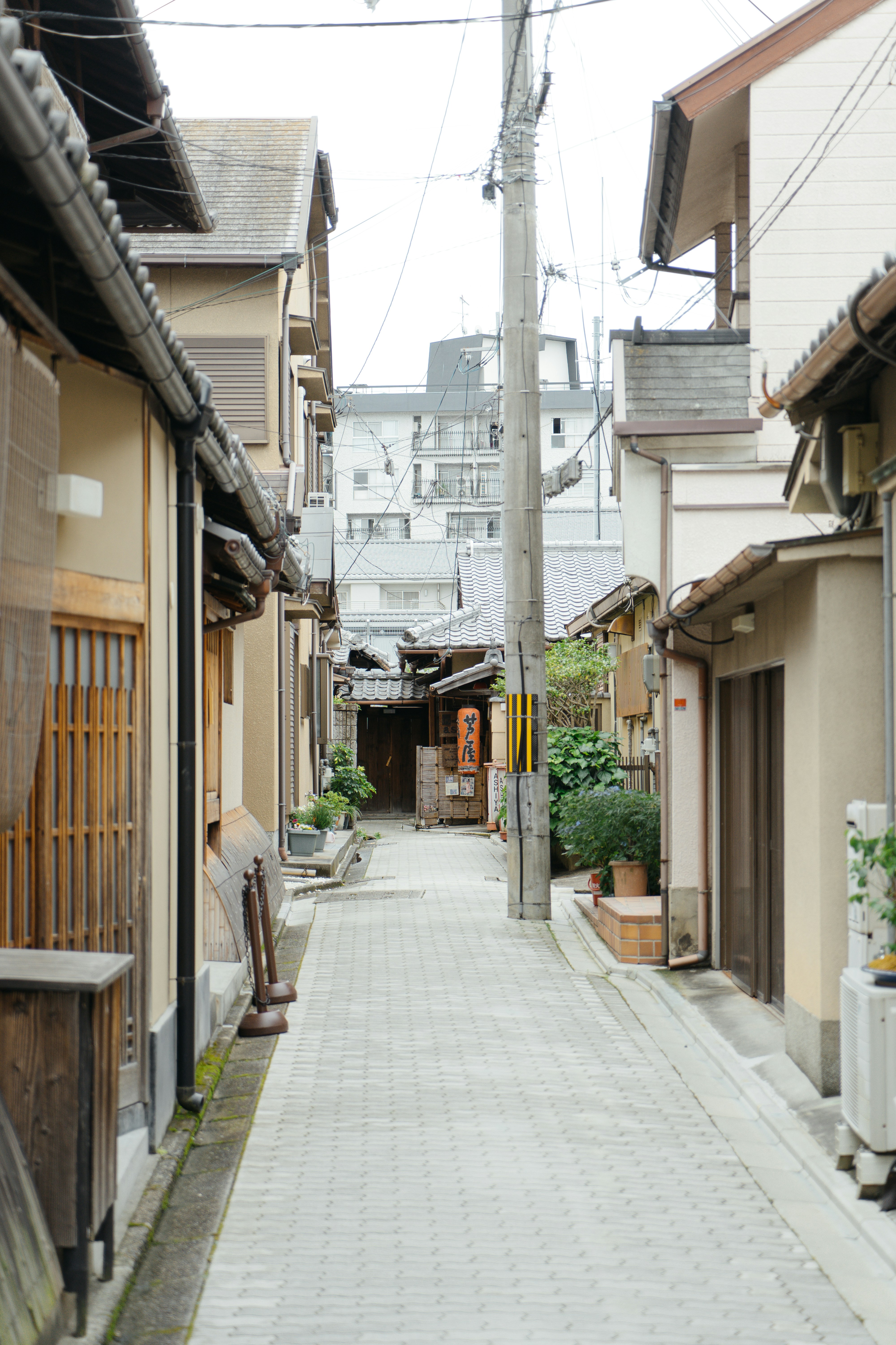 Photo by blue_hamberts