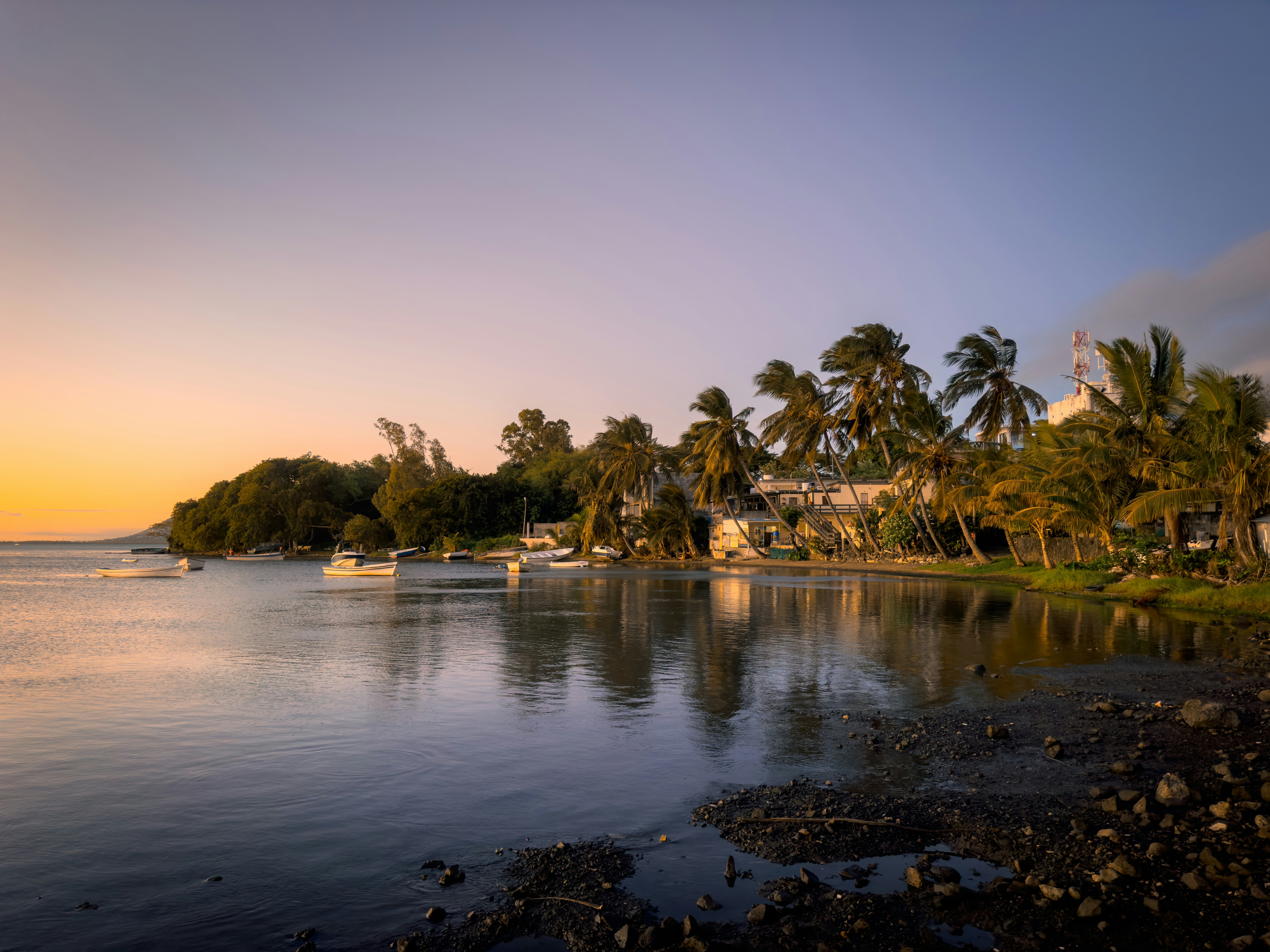 A body of water surrounded by palm trees photo – Free Mauritius Image ...