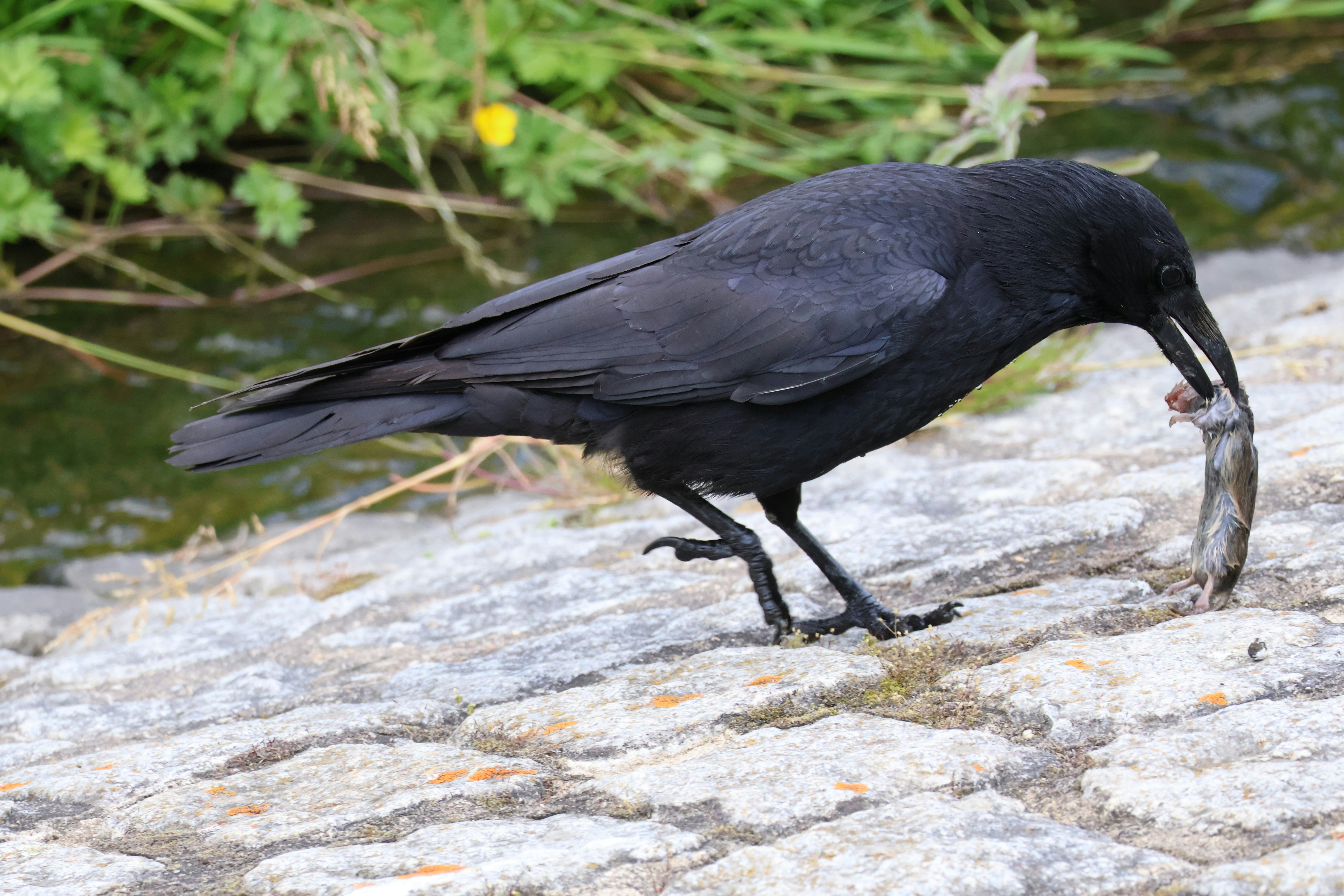 Photo by shooter__andy