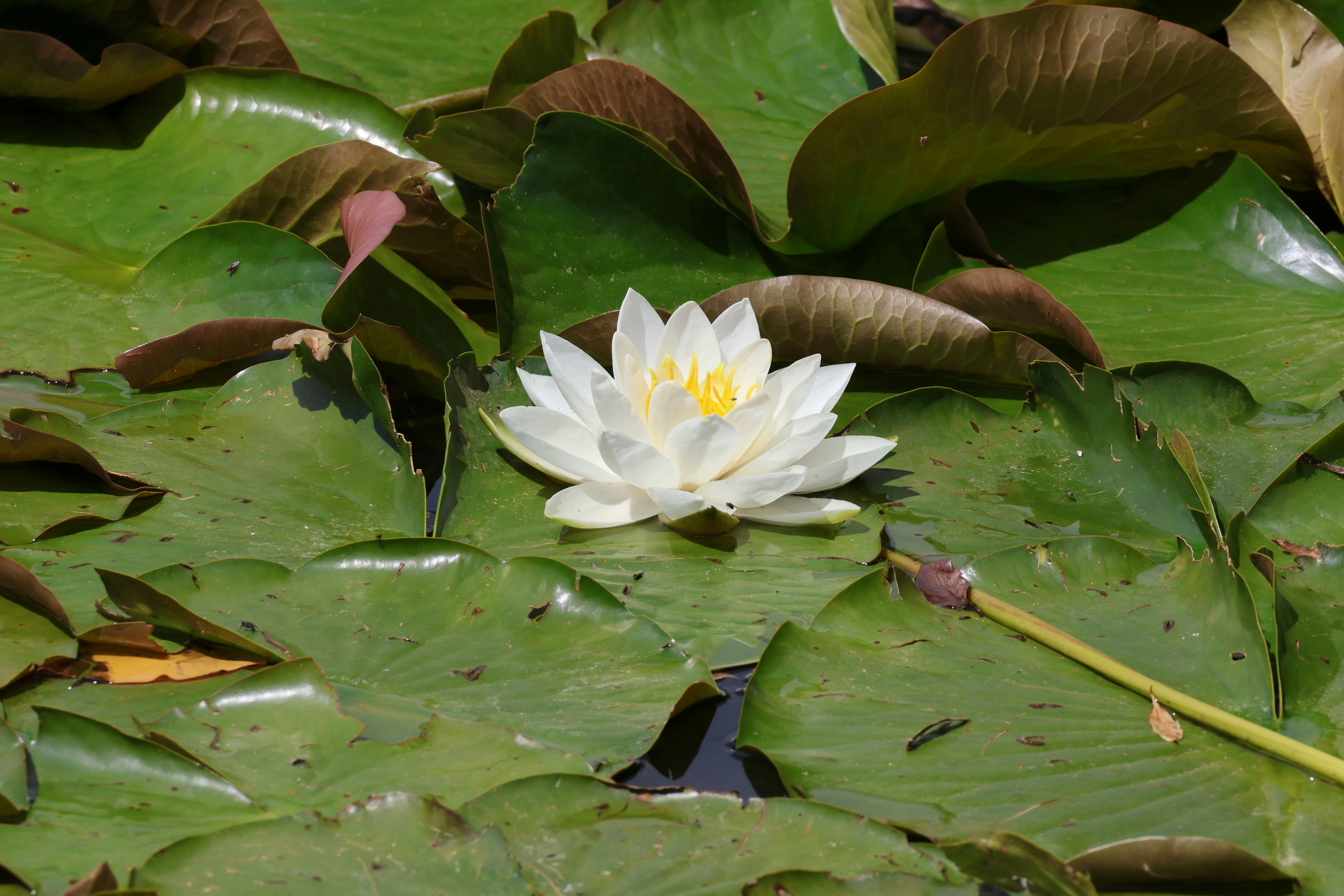 Photo by shooter__andy