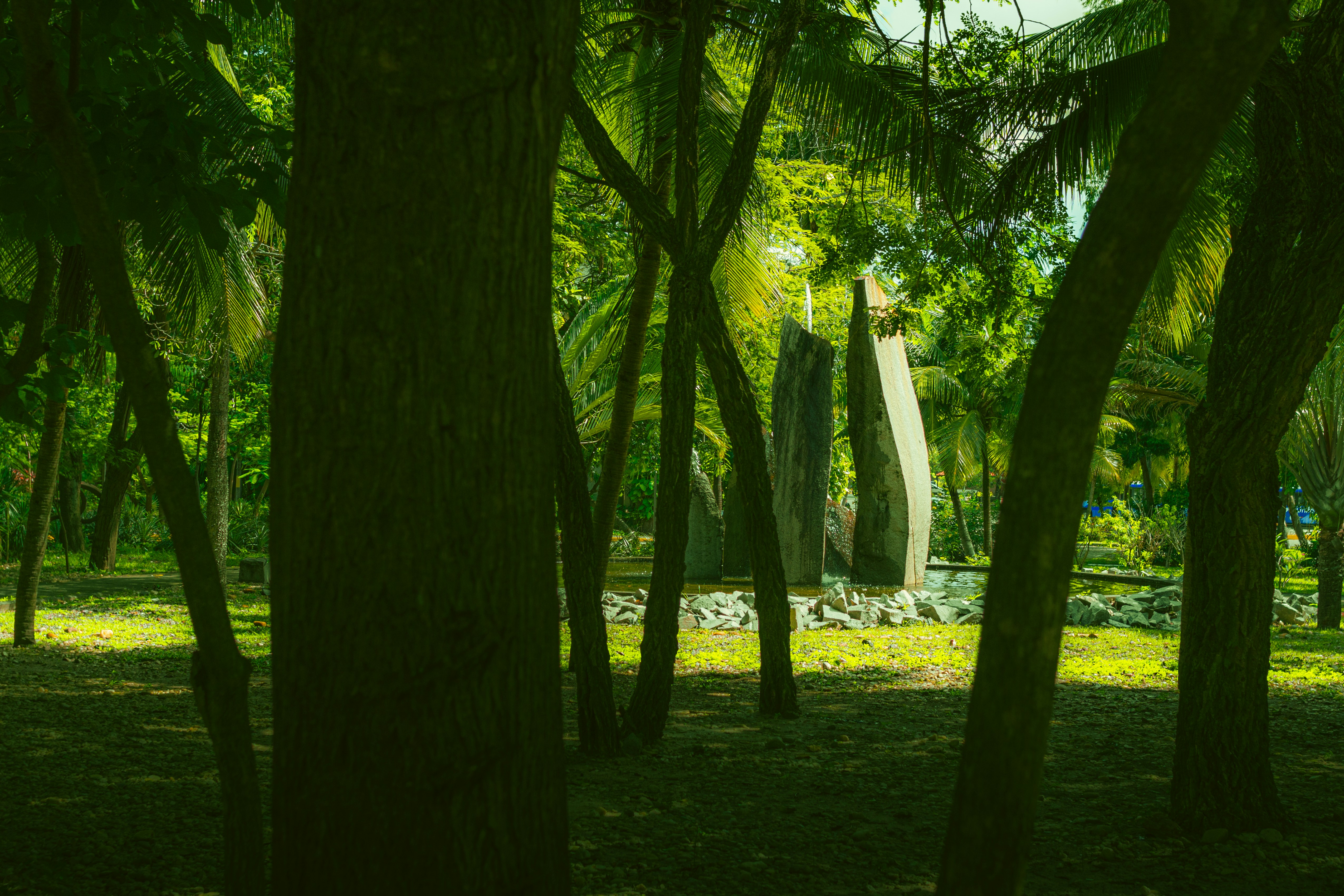 brazilian university campus