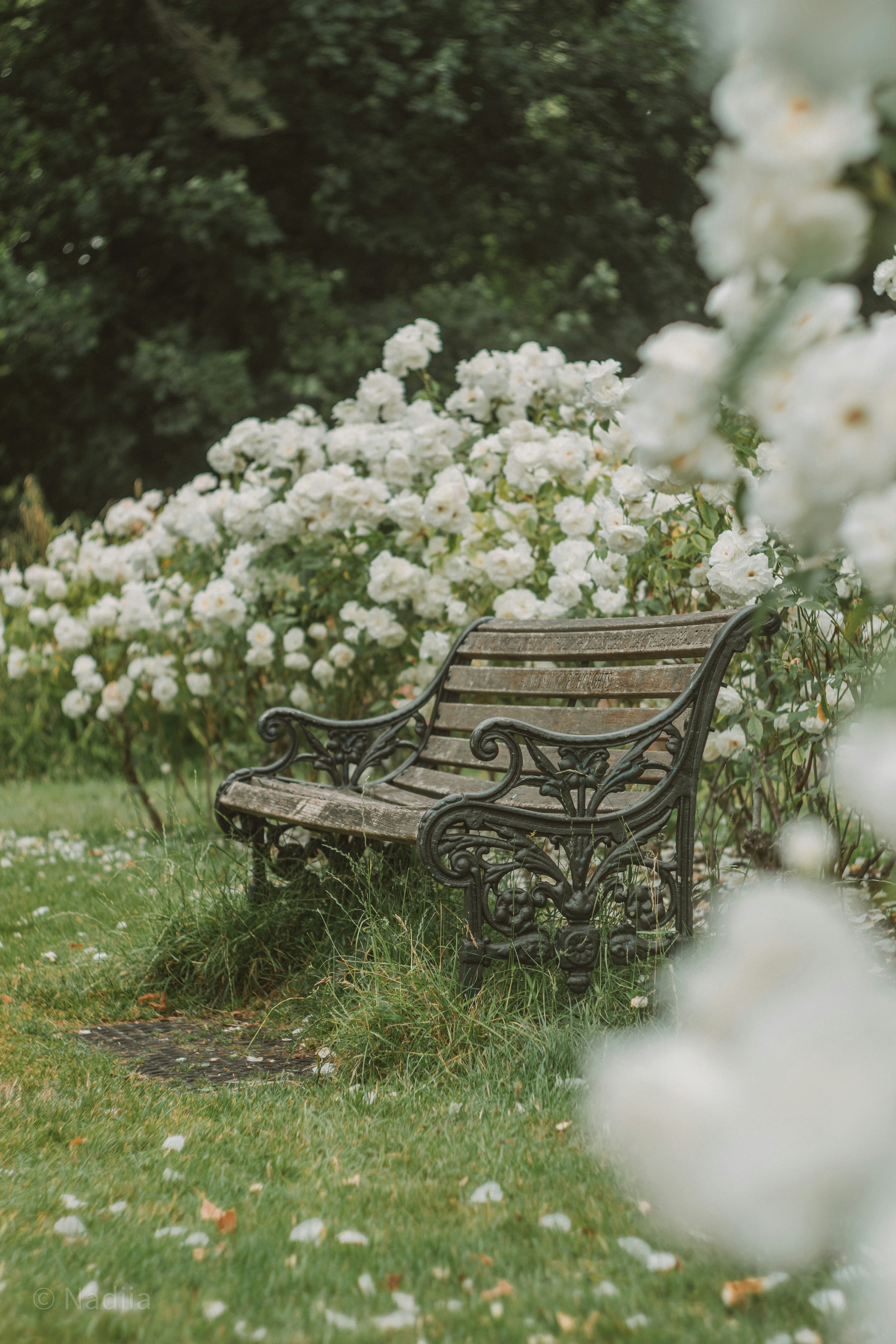 Photo by nadiiapetrakova