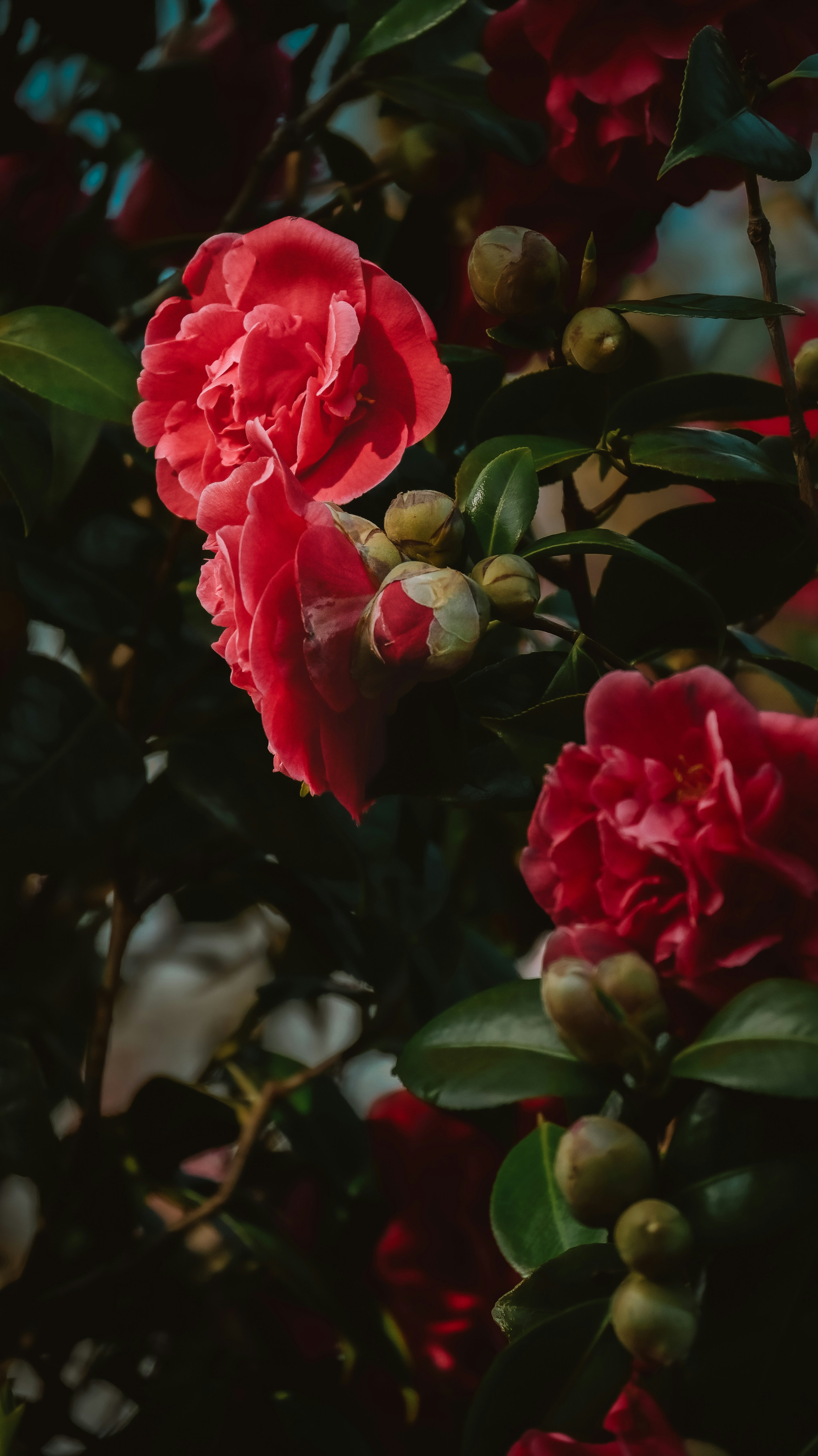 Photo by nadiiapetrakova