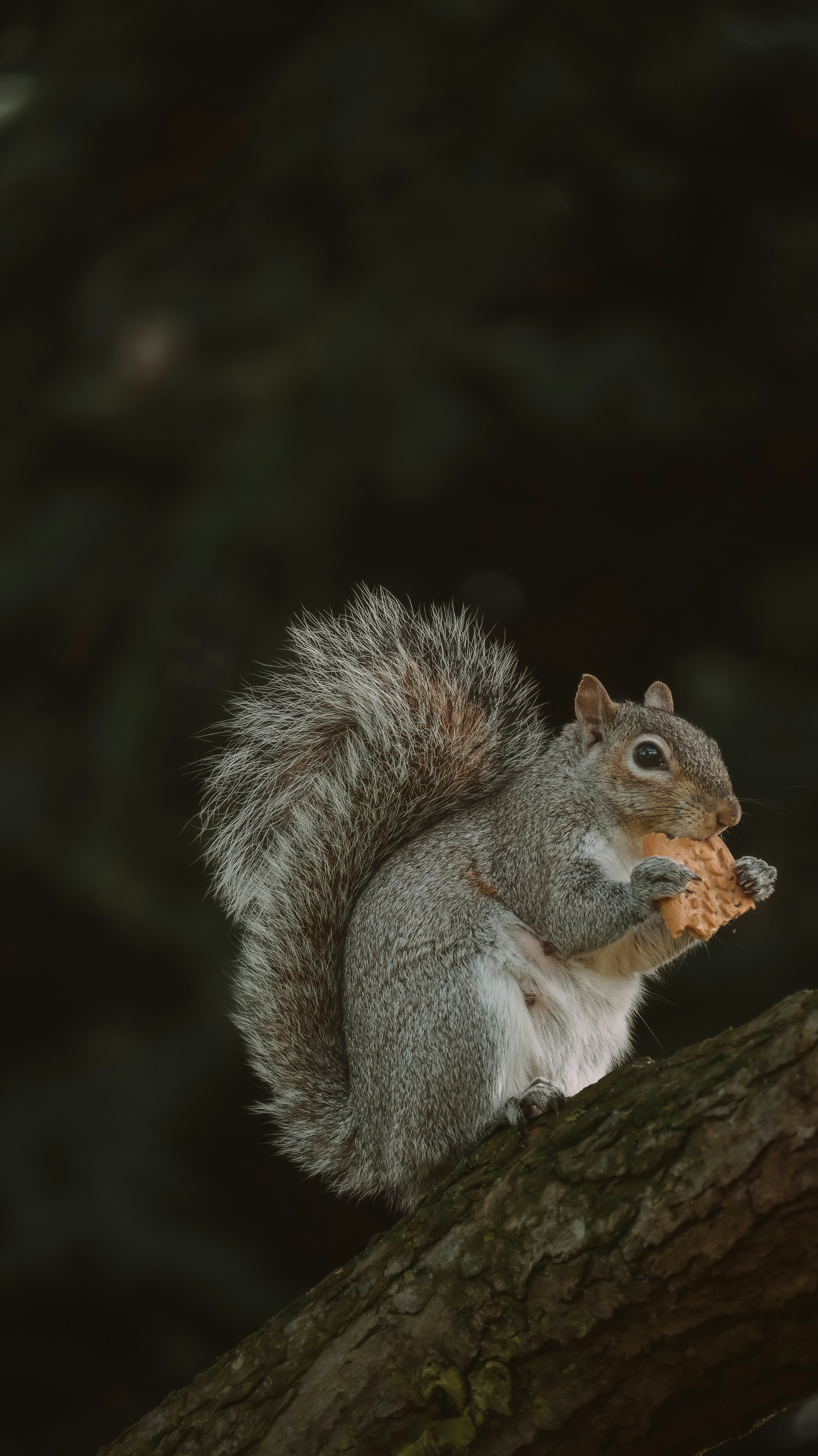 Photo by nadiiapetrakova