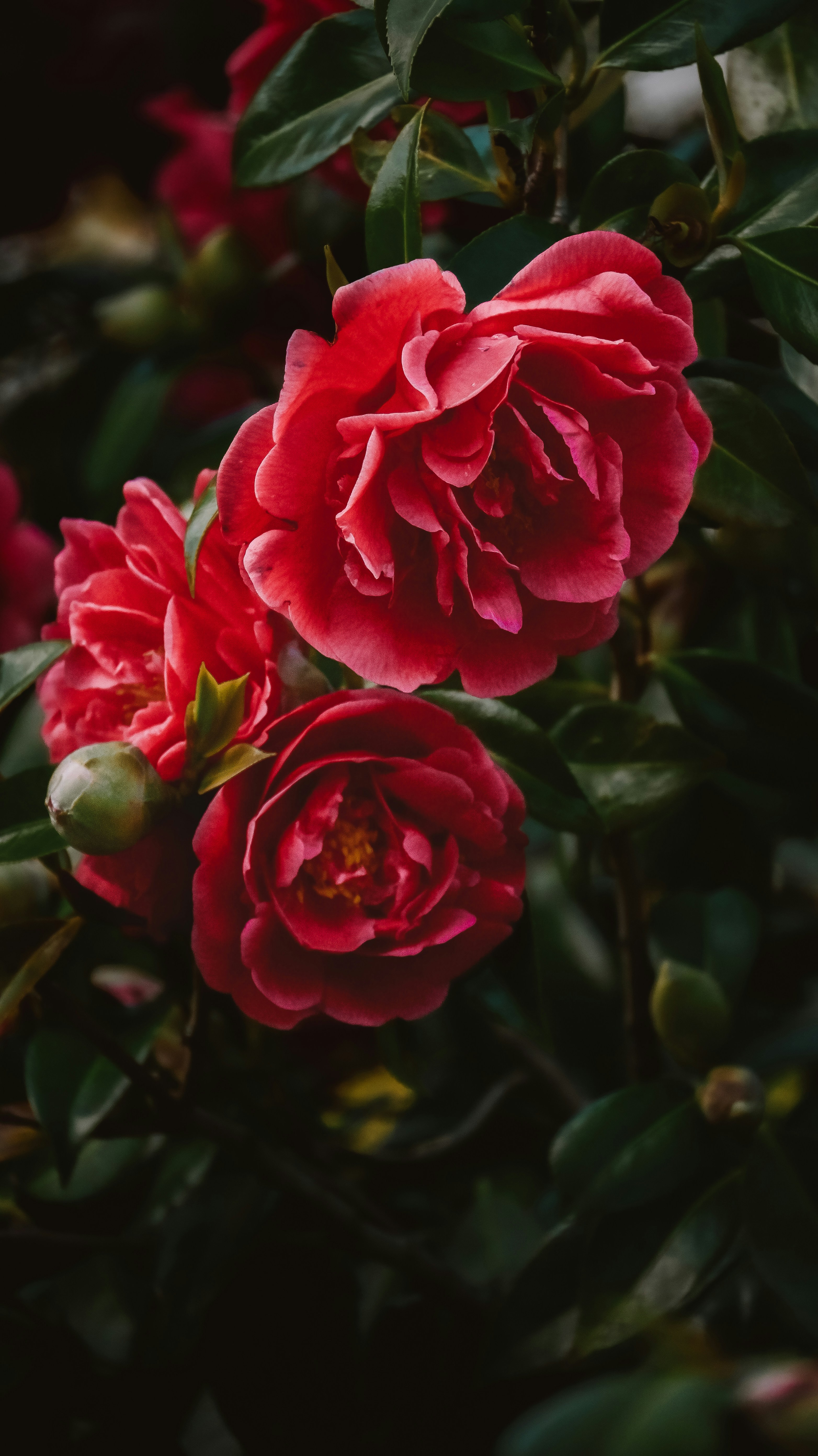 Photo by nadiiapetrakova