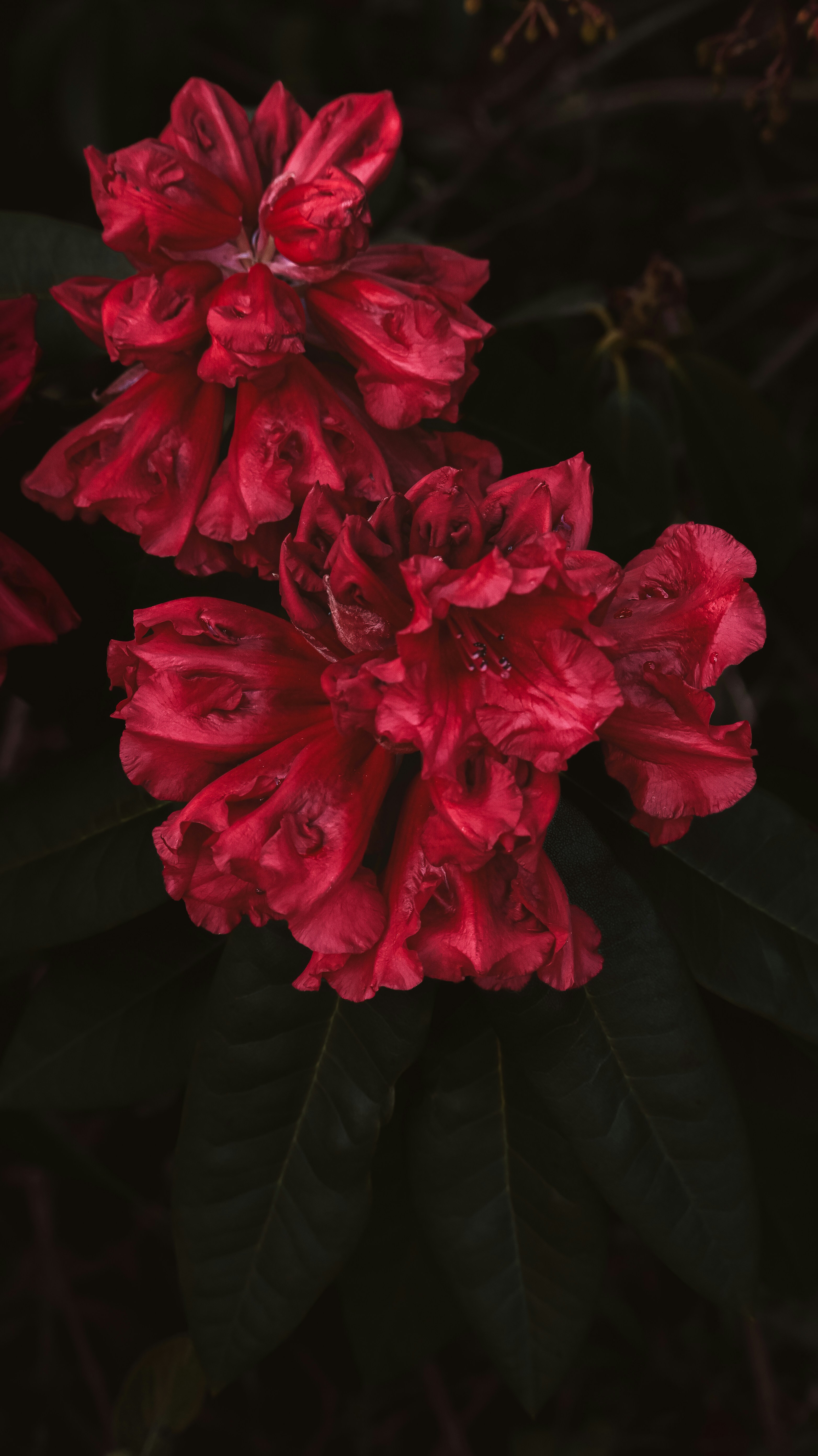 Photo by nadiiapetrakova