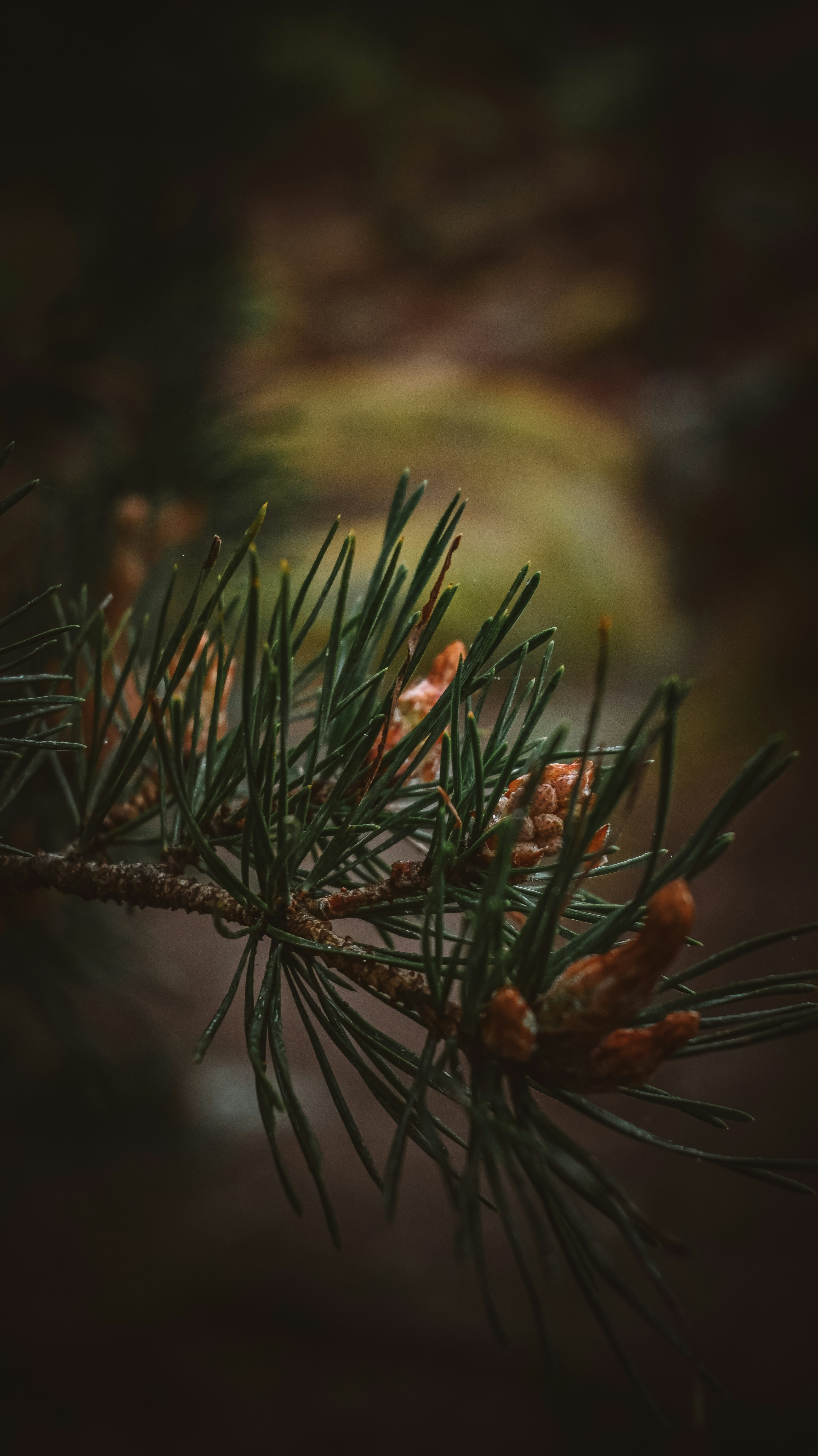 Photo by nadiiapetrakova