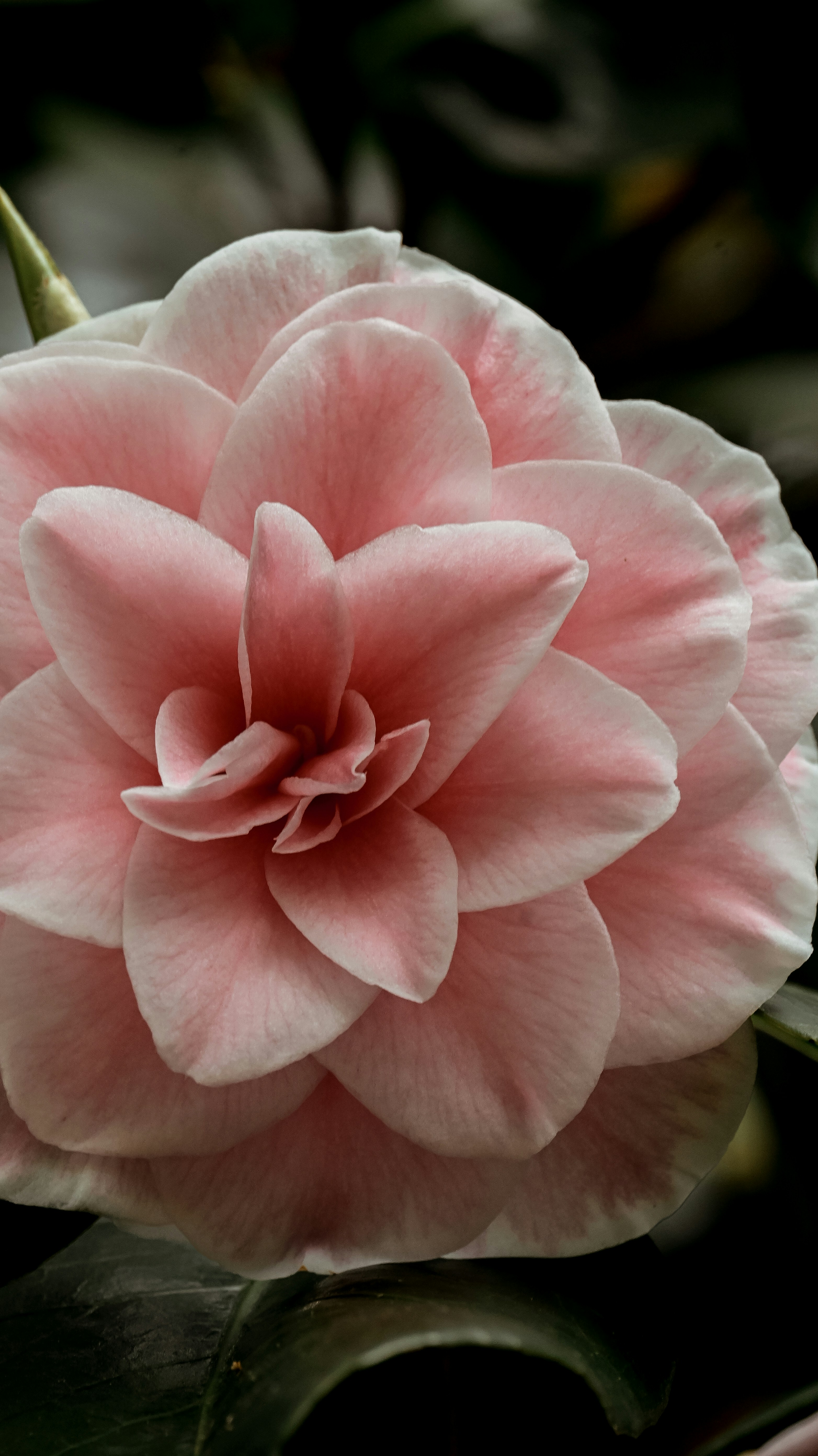 Photo by nadiiapetrakova