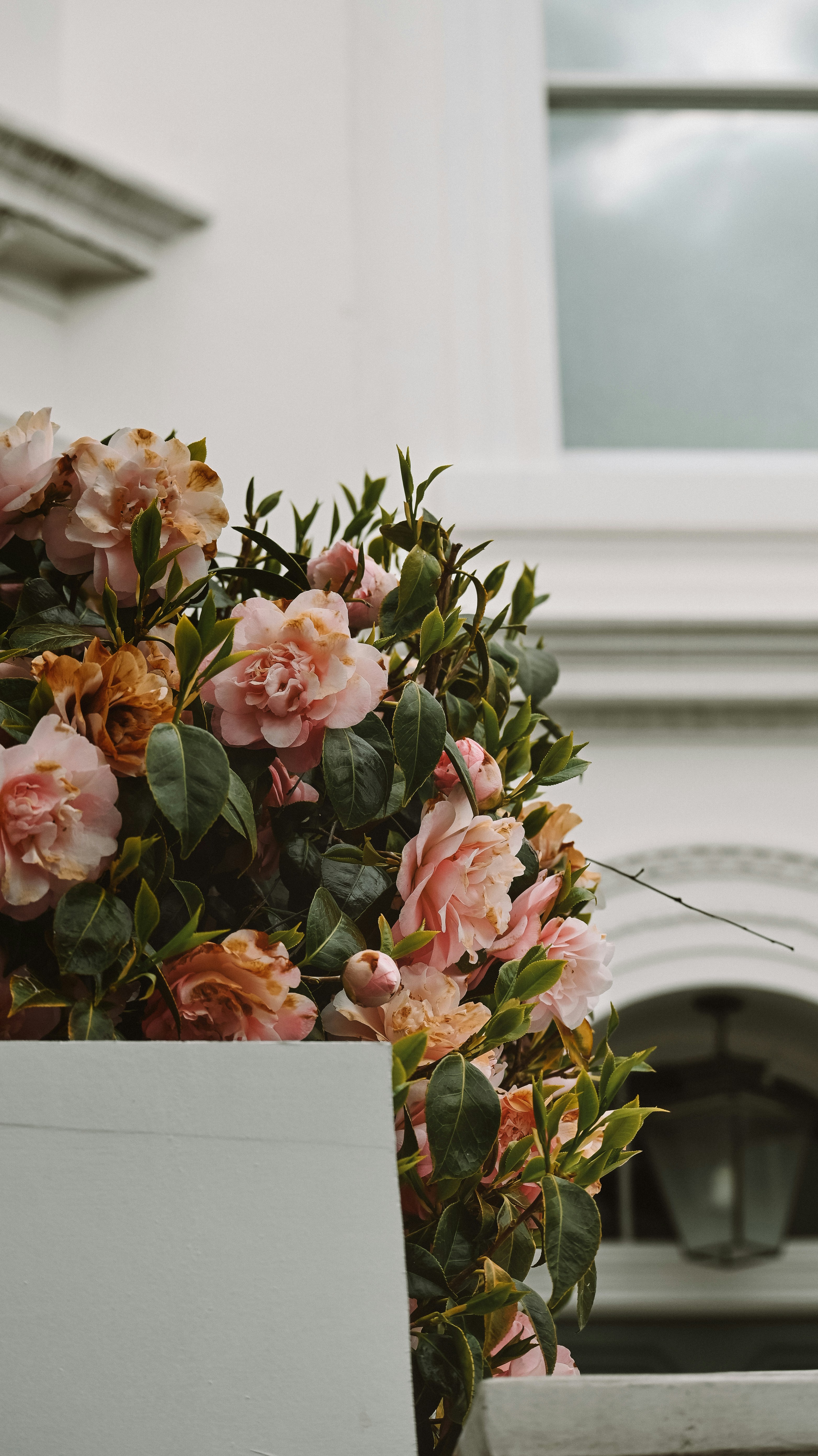 Photo by nadiiapetrakova