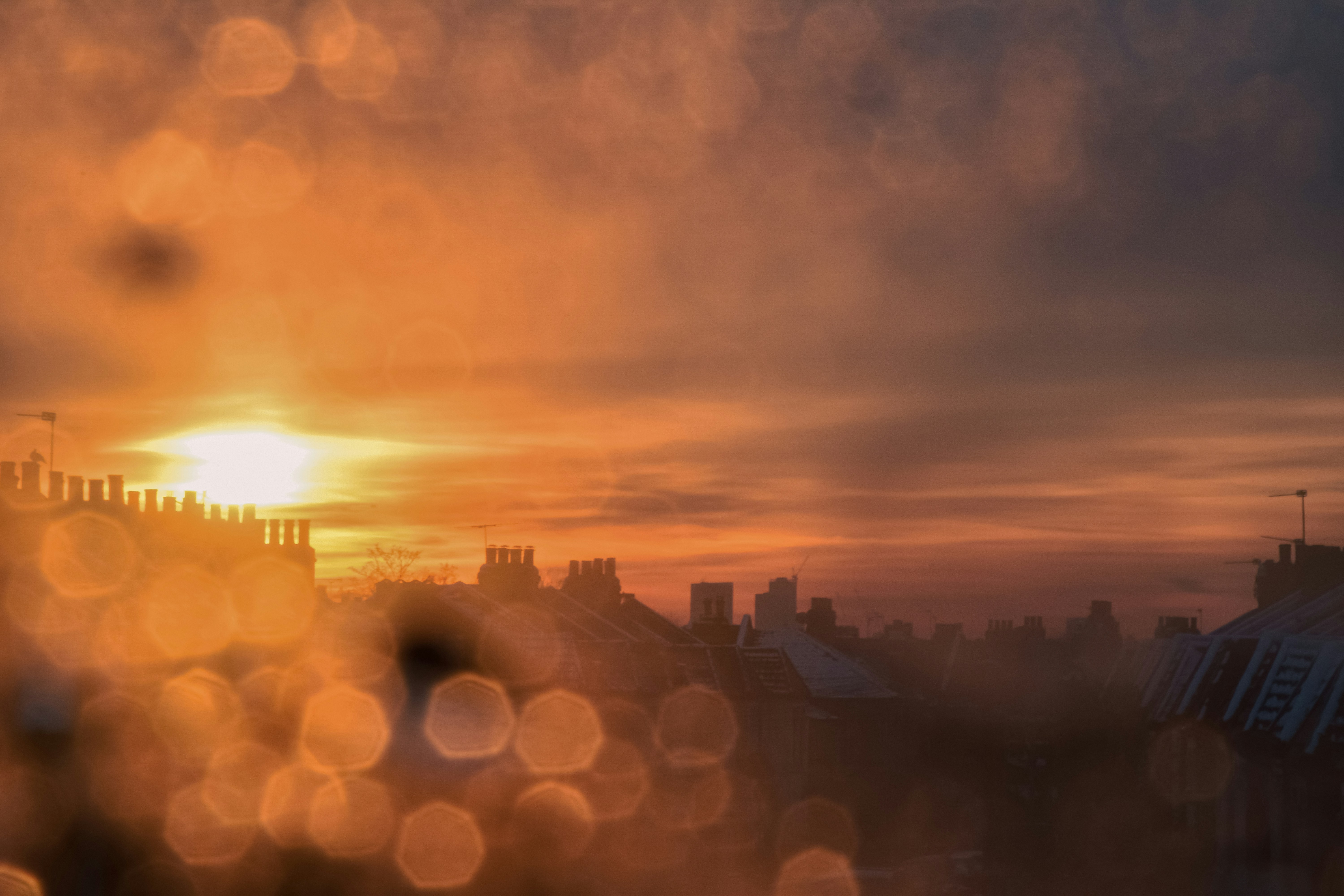 Photo by nadiiapetrakova