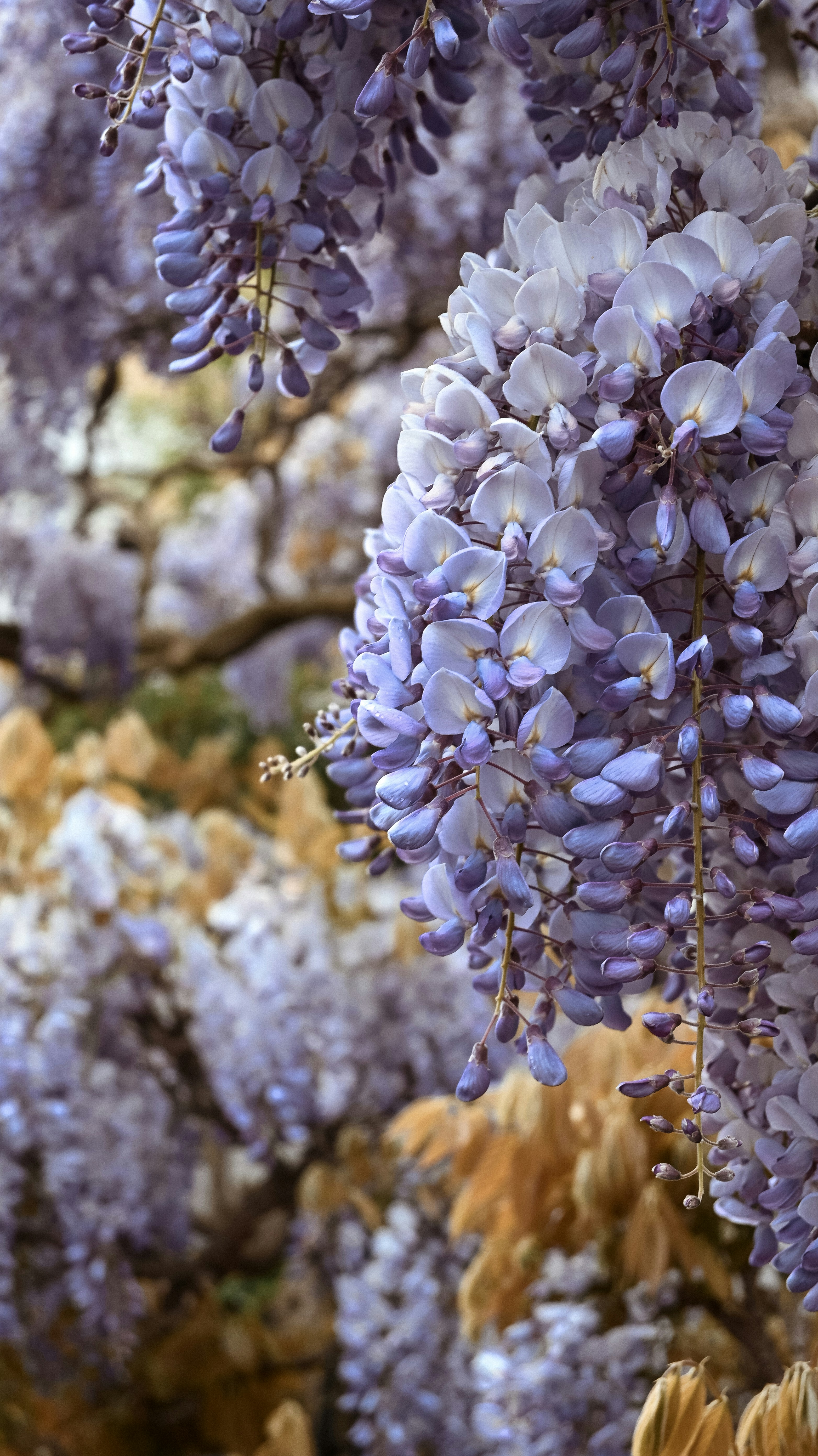 Photo by nadiiapetrakova