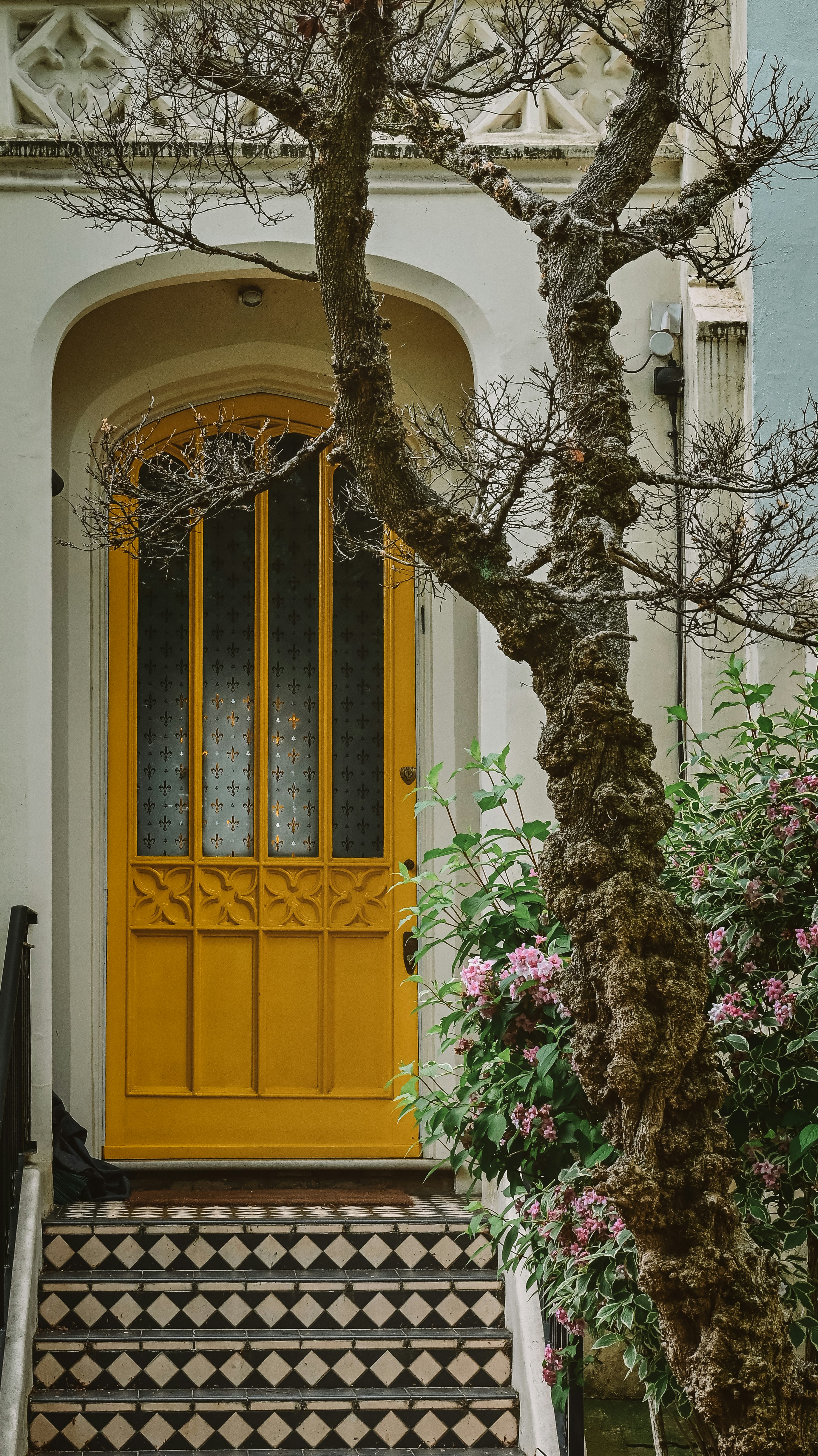 Photo by nadiiapetrakova