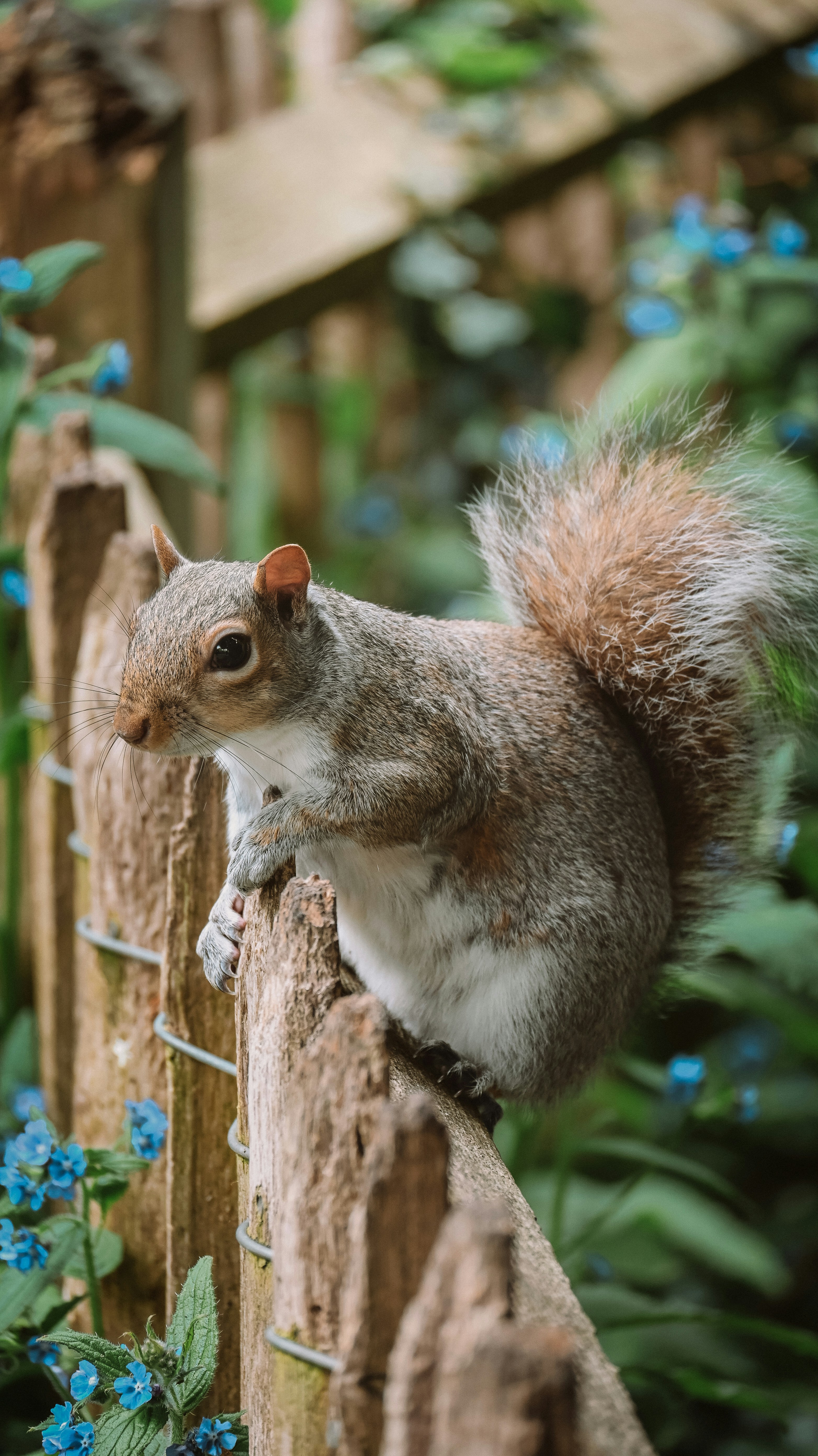 Photo by nadiiapetrakova