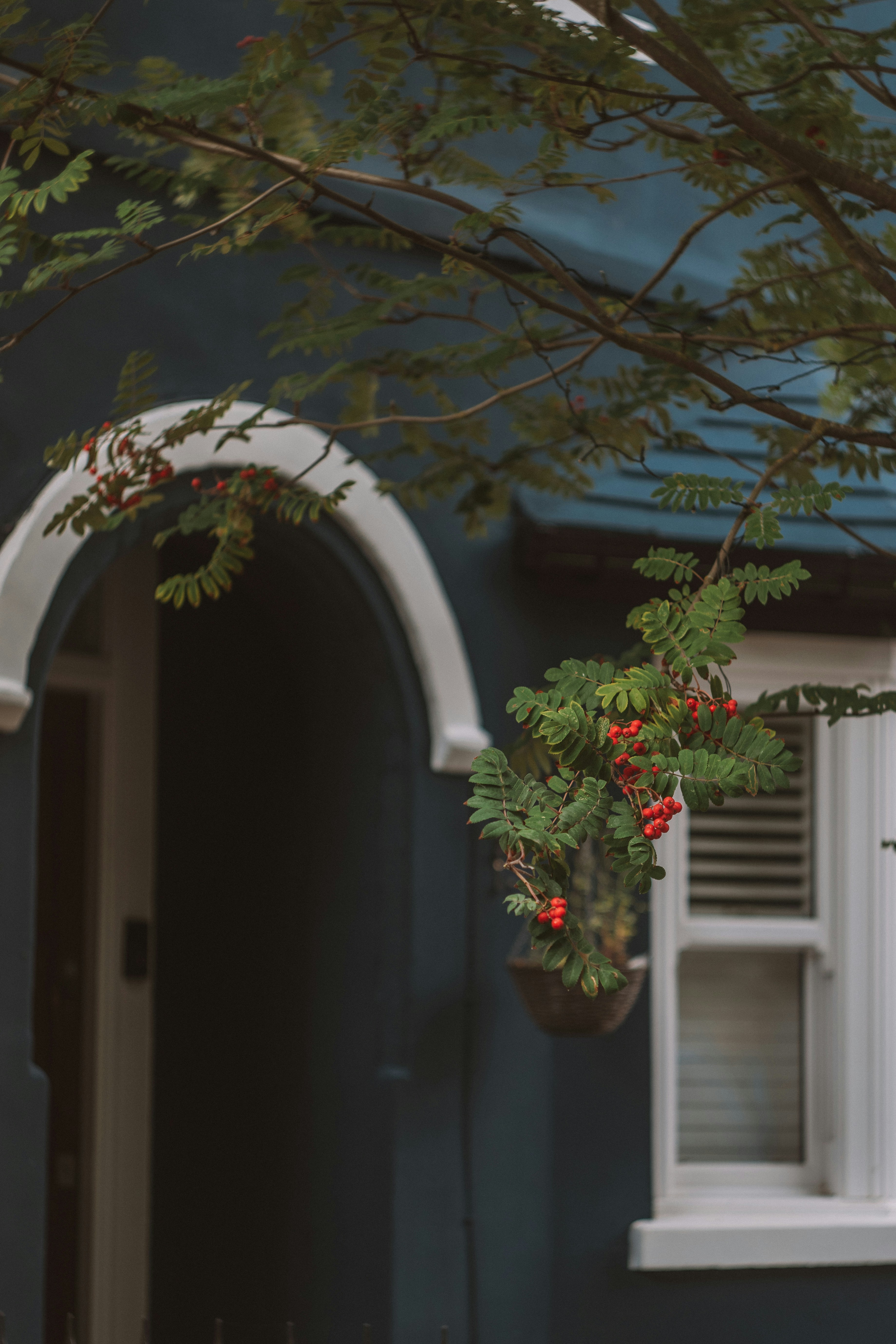 Photo by nadiiapetrakova