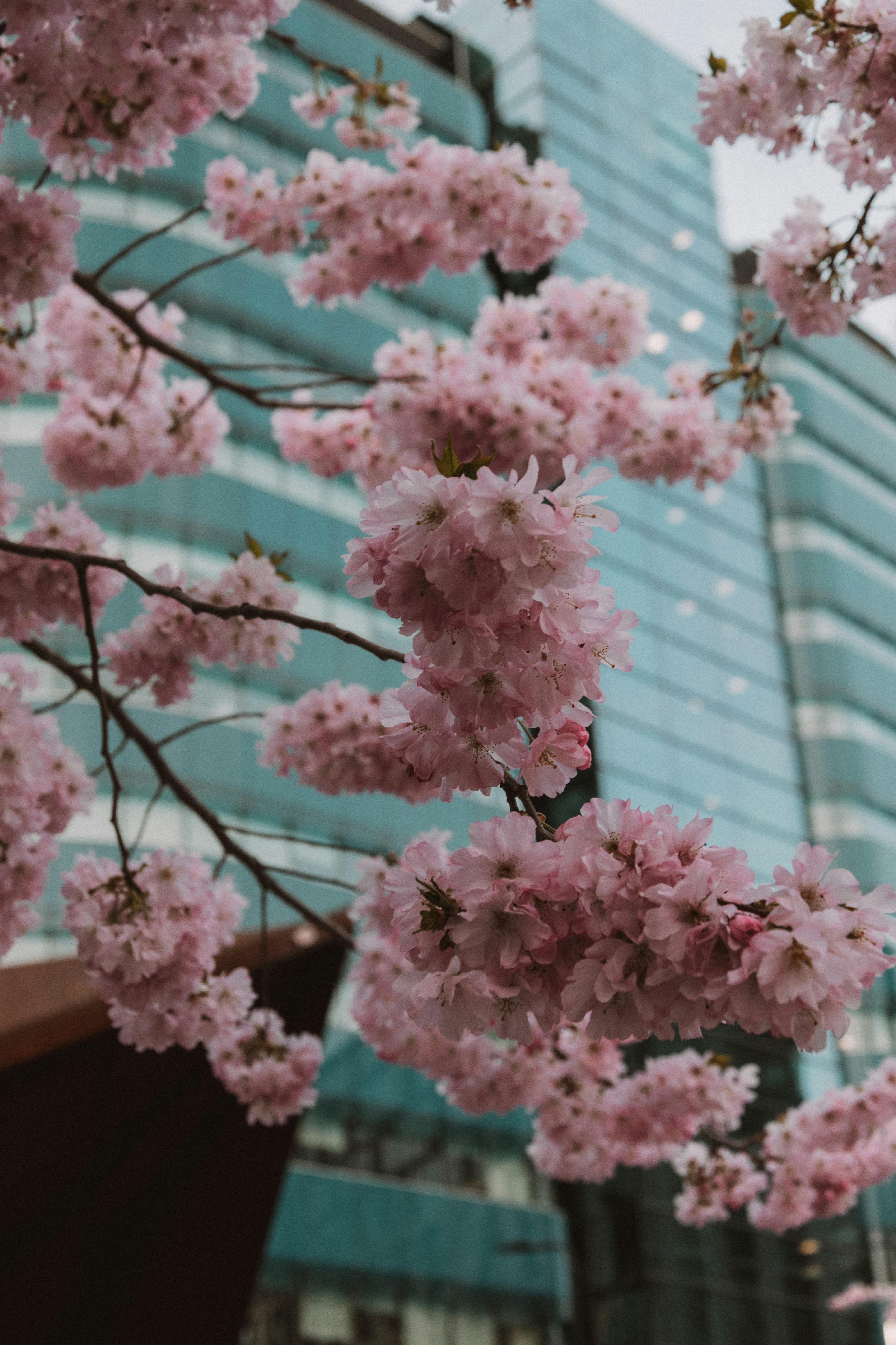 Photo by nadiiapetrakova