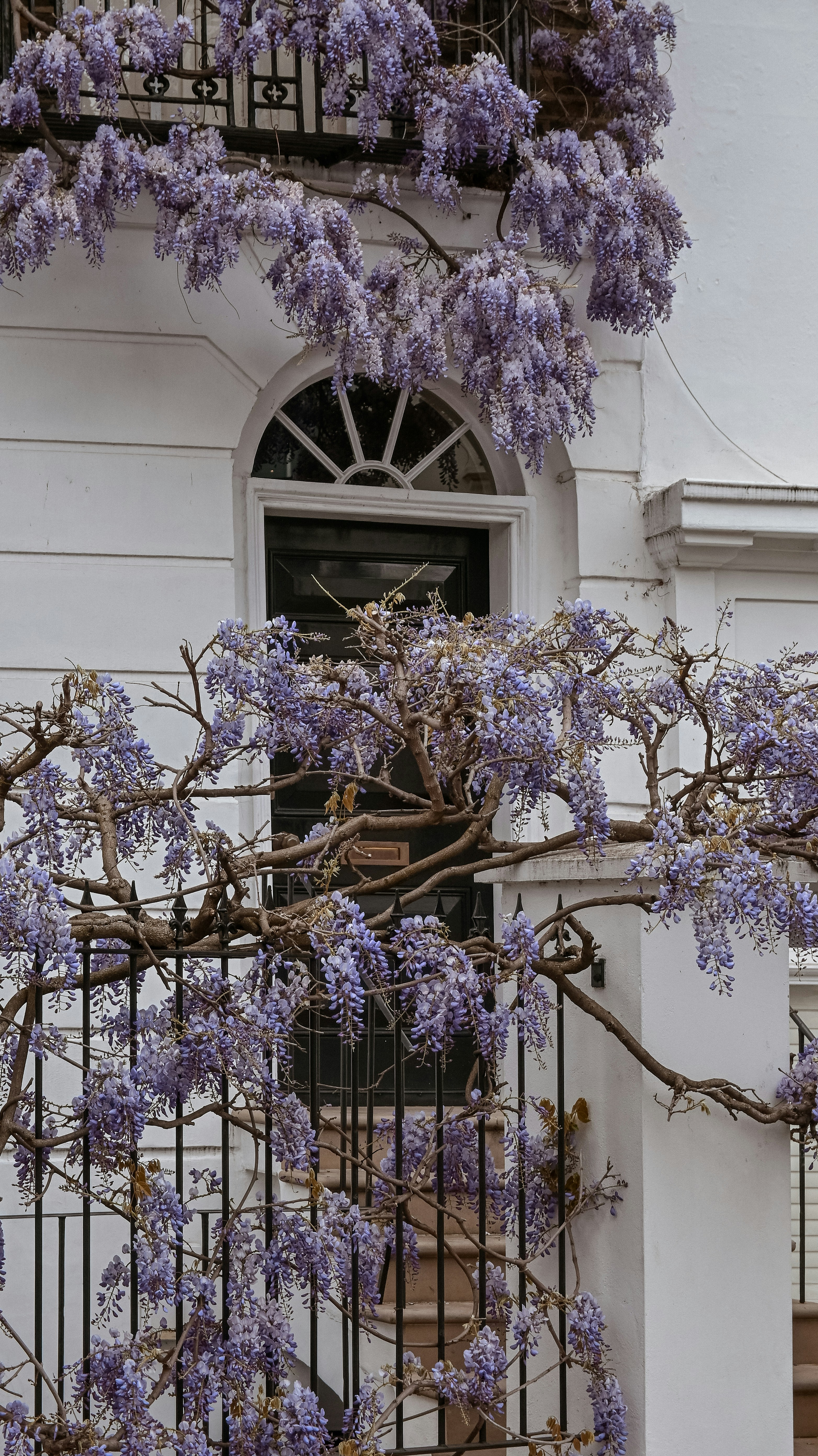 Photo by nadiiapetrakova