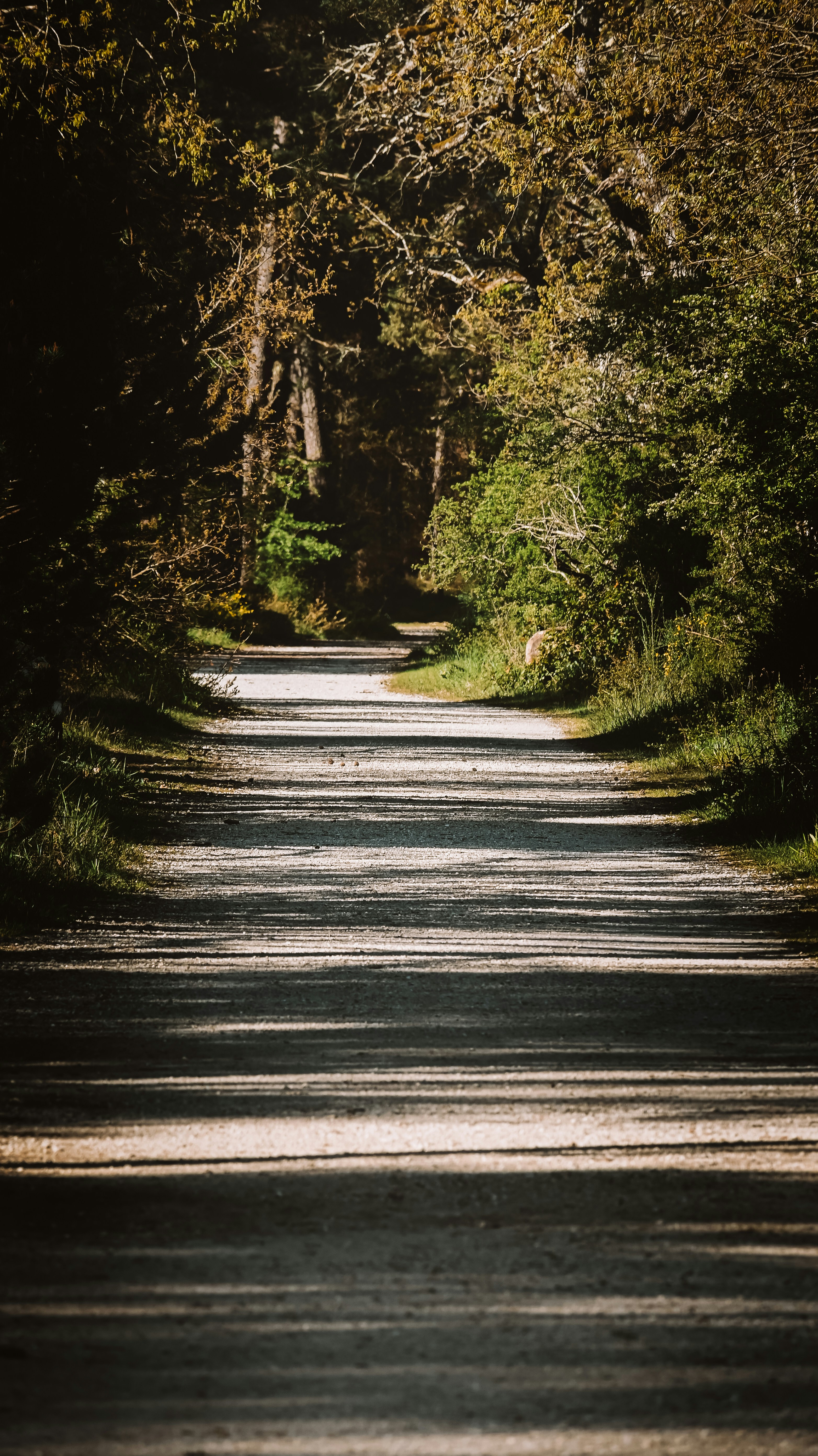 Photo by nadiiapetrakova