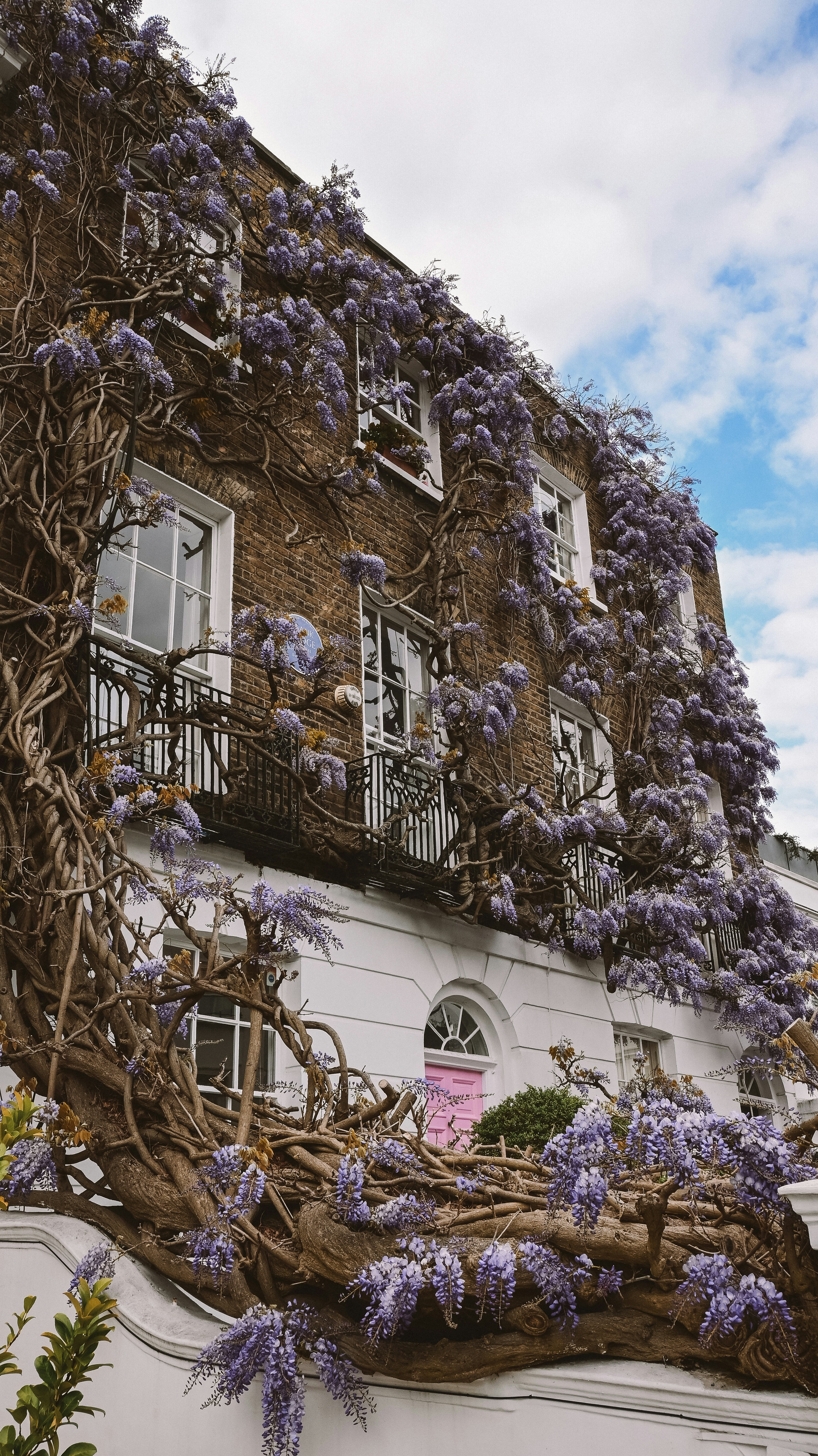 Photo by nadiiapetrakova